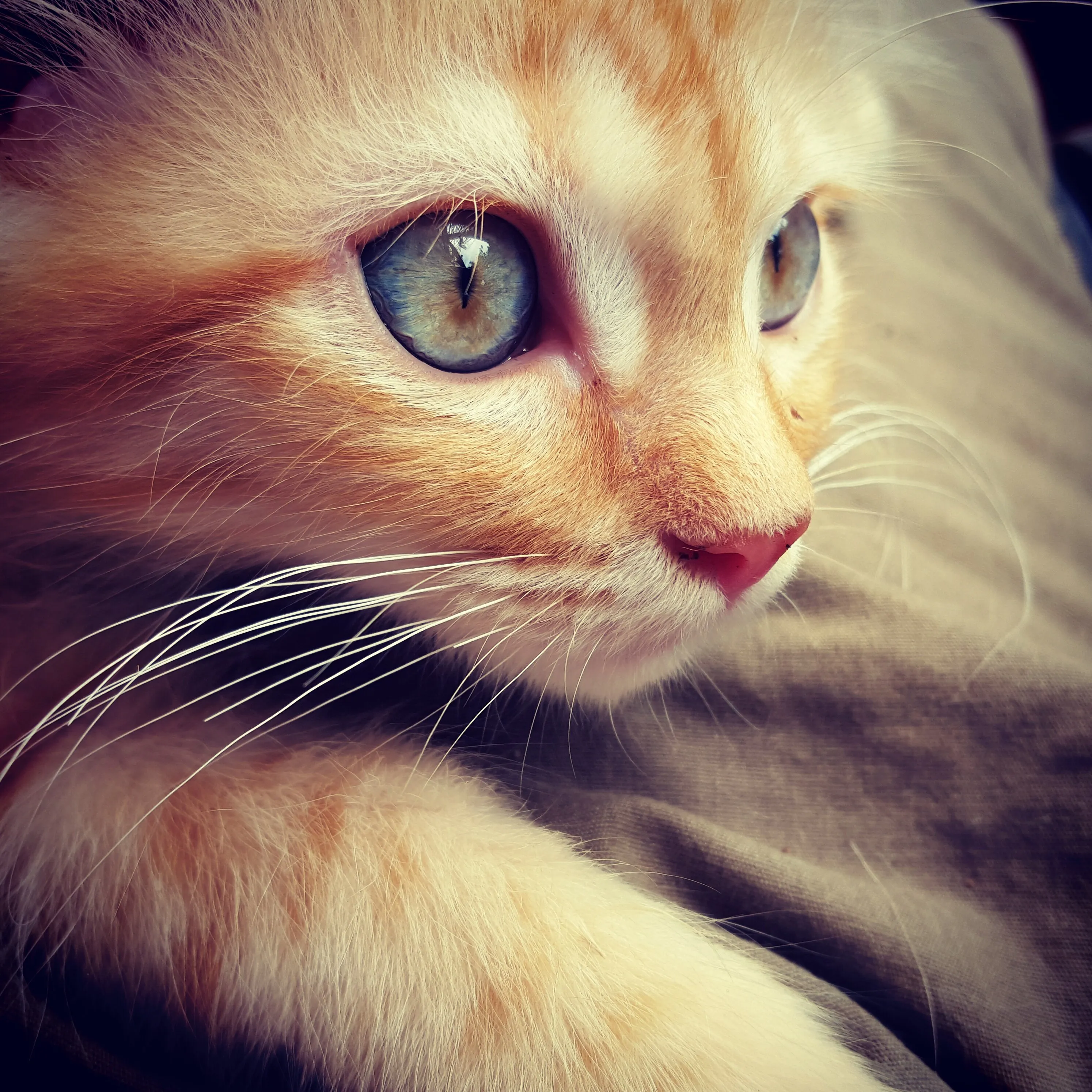 In the eyes of my beloved ...