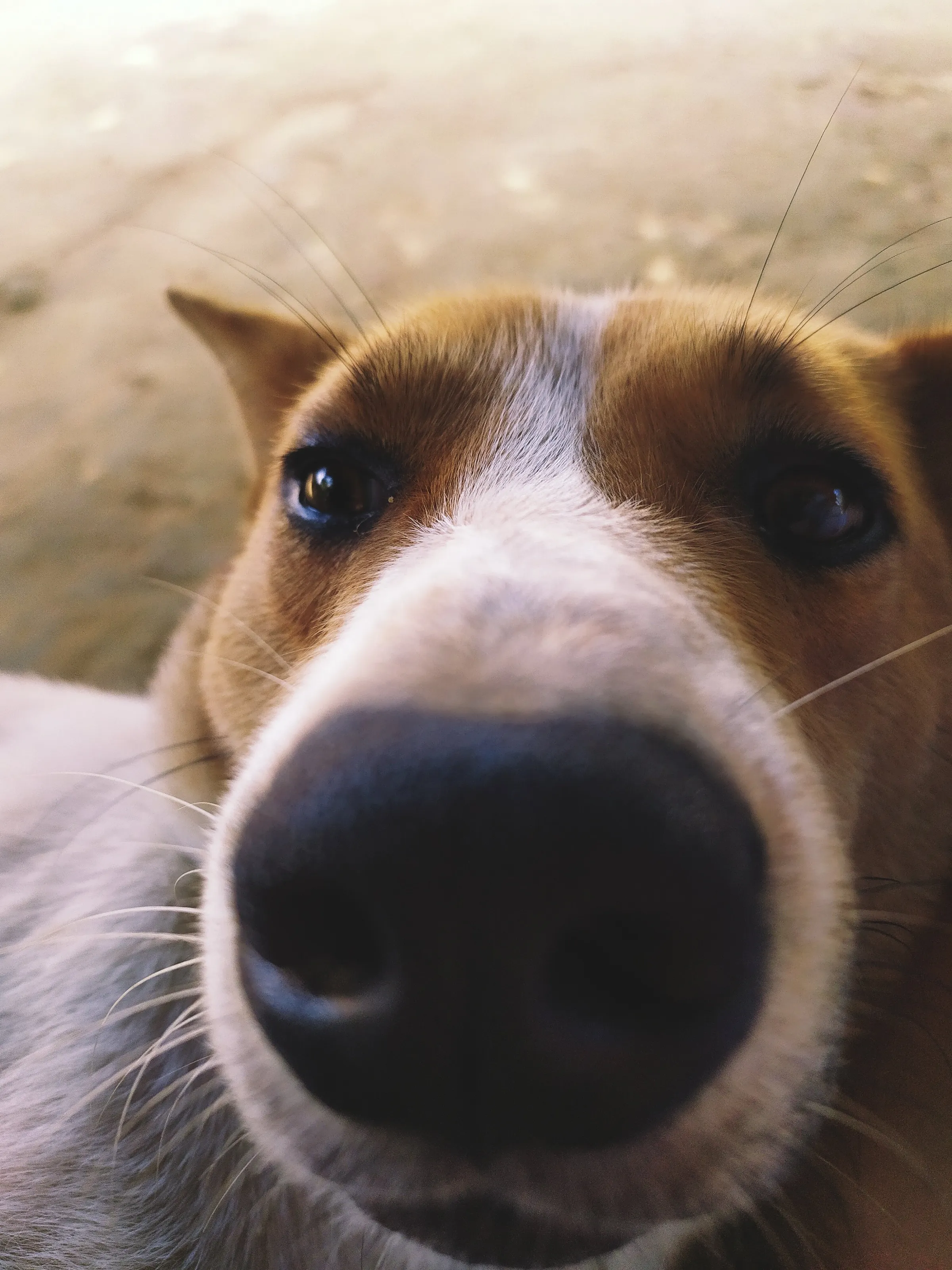 The look for attention