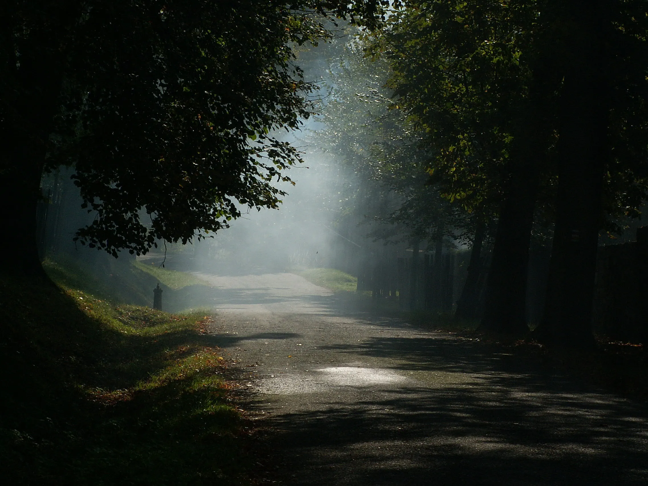 foggy day way