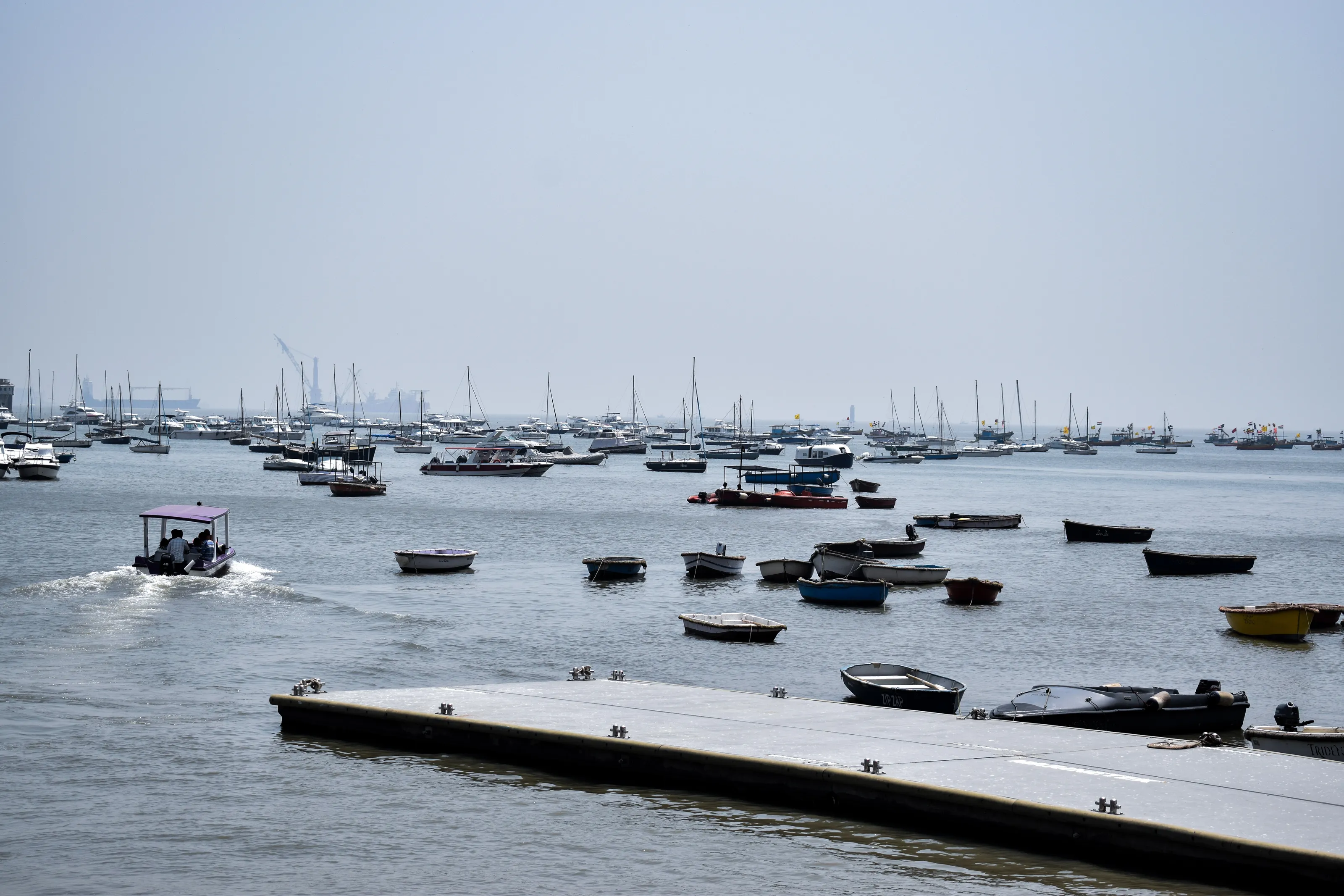 Arabian sea