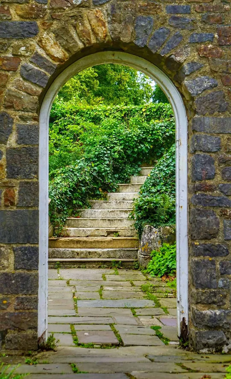 Entry 12472207