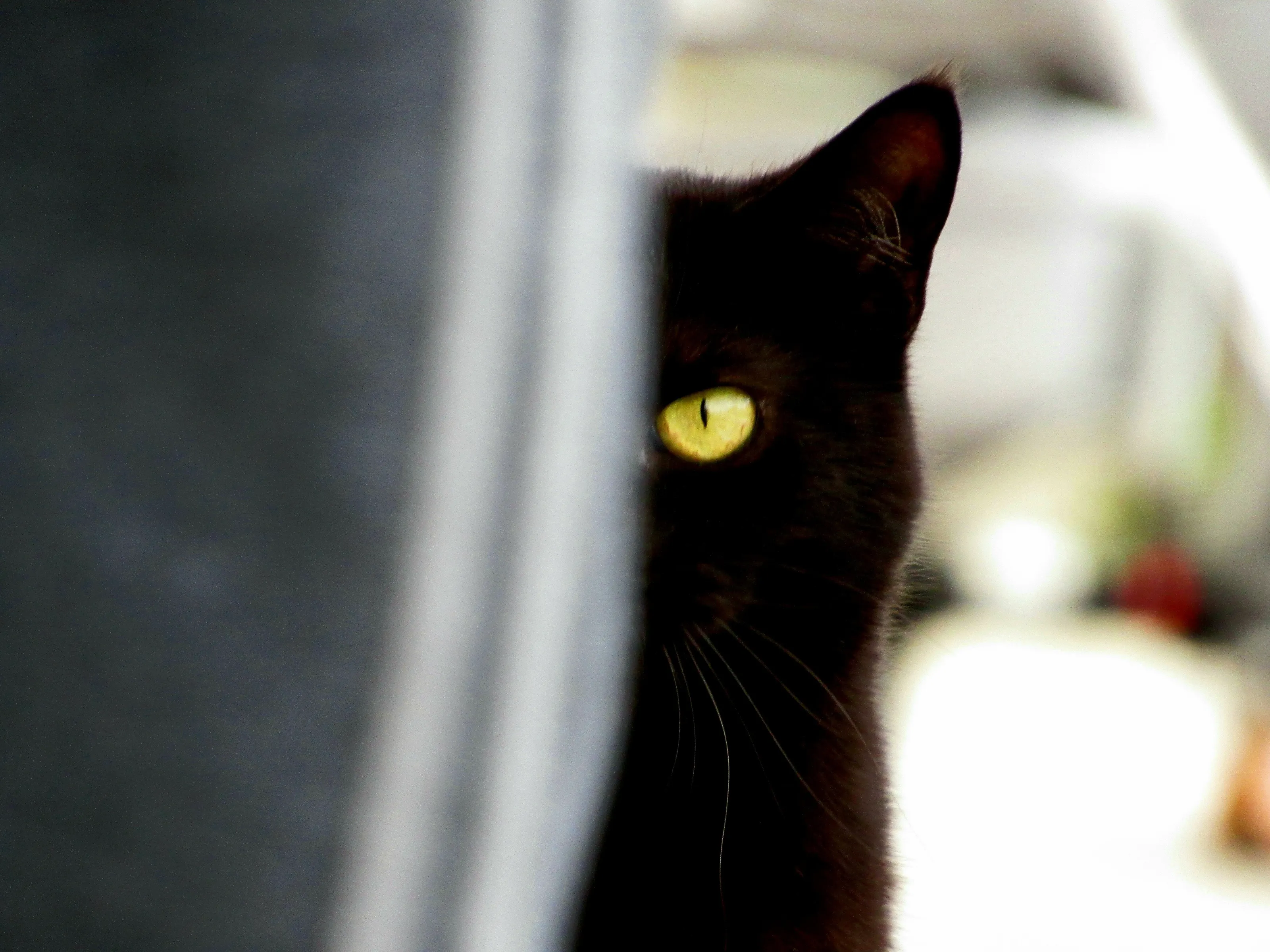 Peekaboo