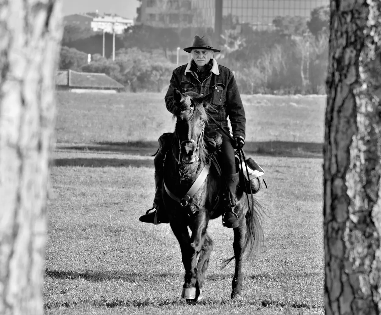 Entry 10971447