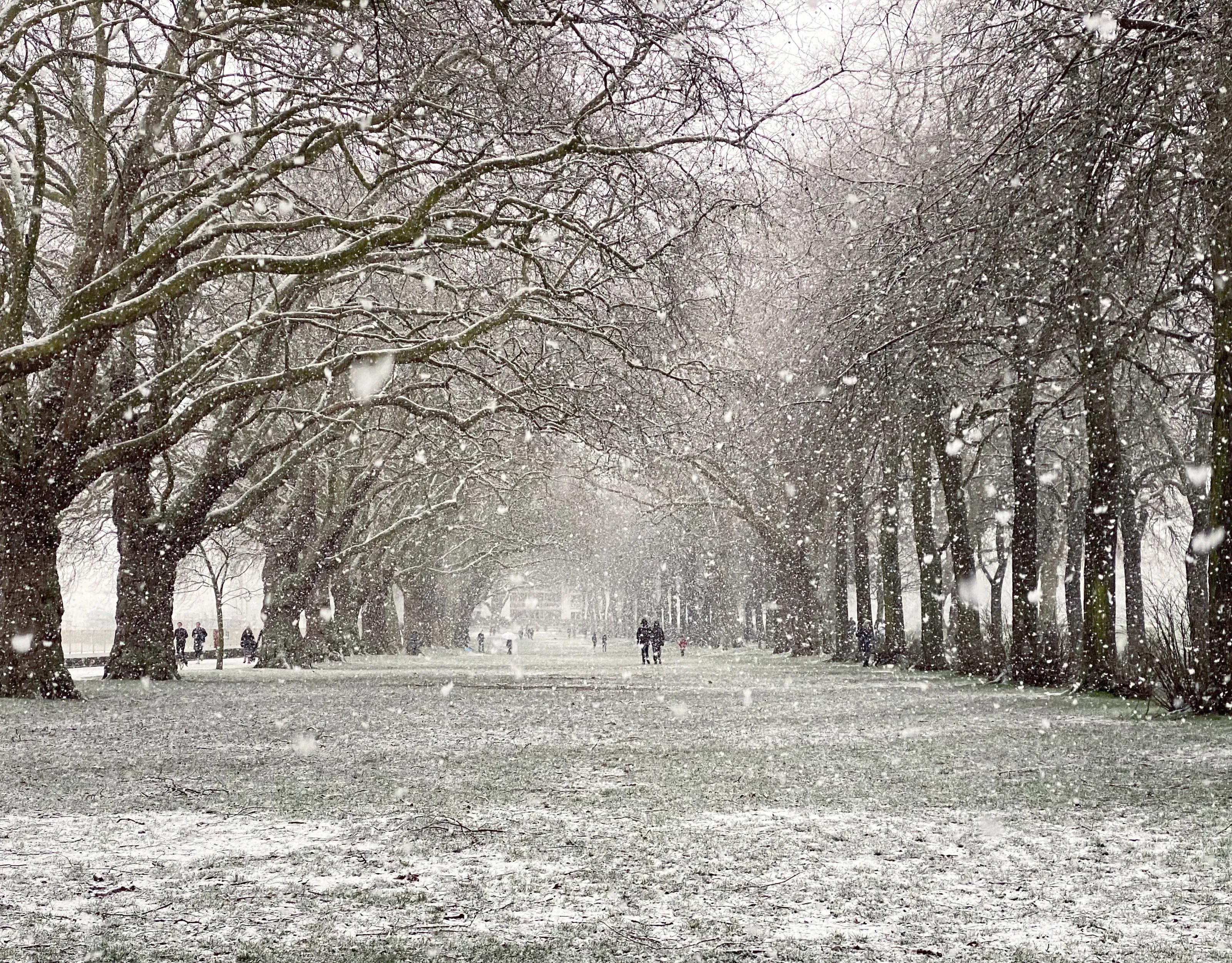 Winter Wonderland in Wandsworth Park, London