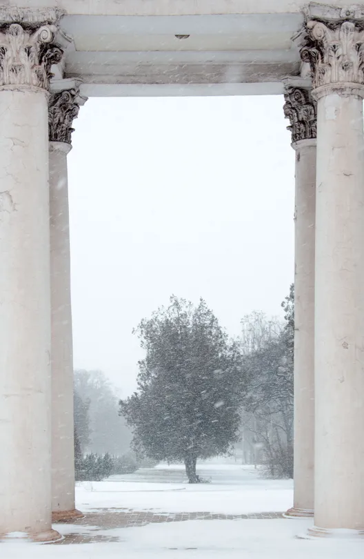 Let it snow