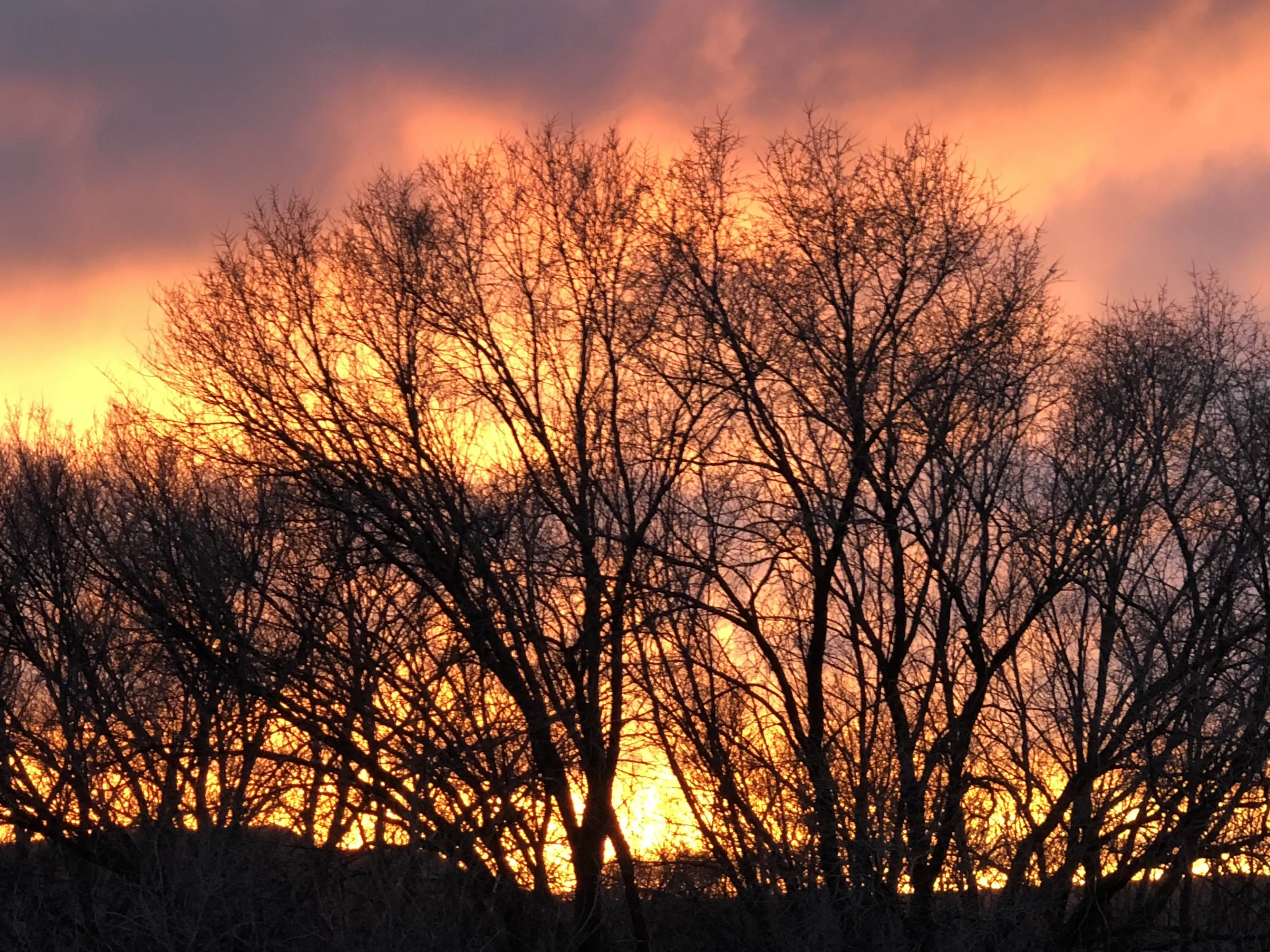 Christmas Sunset