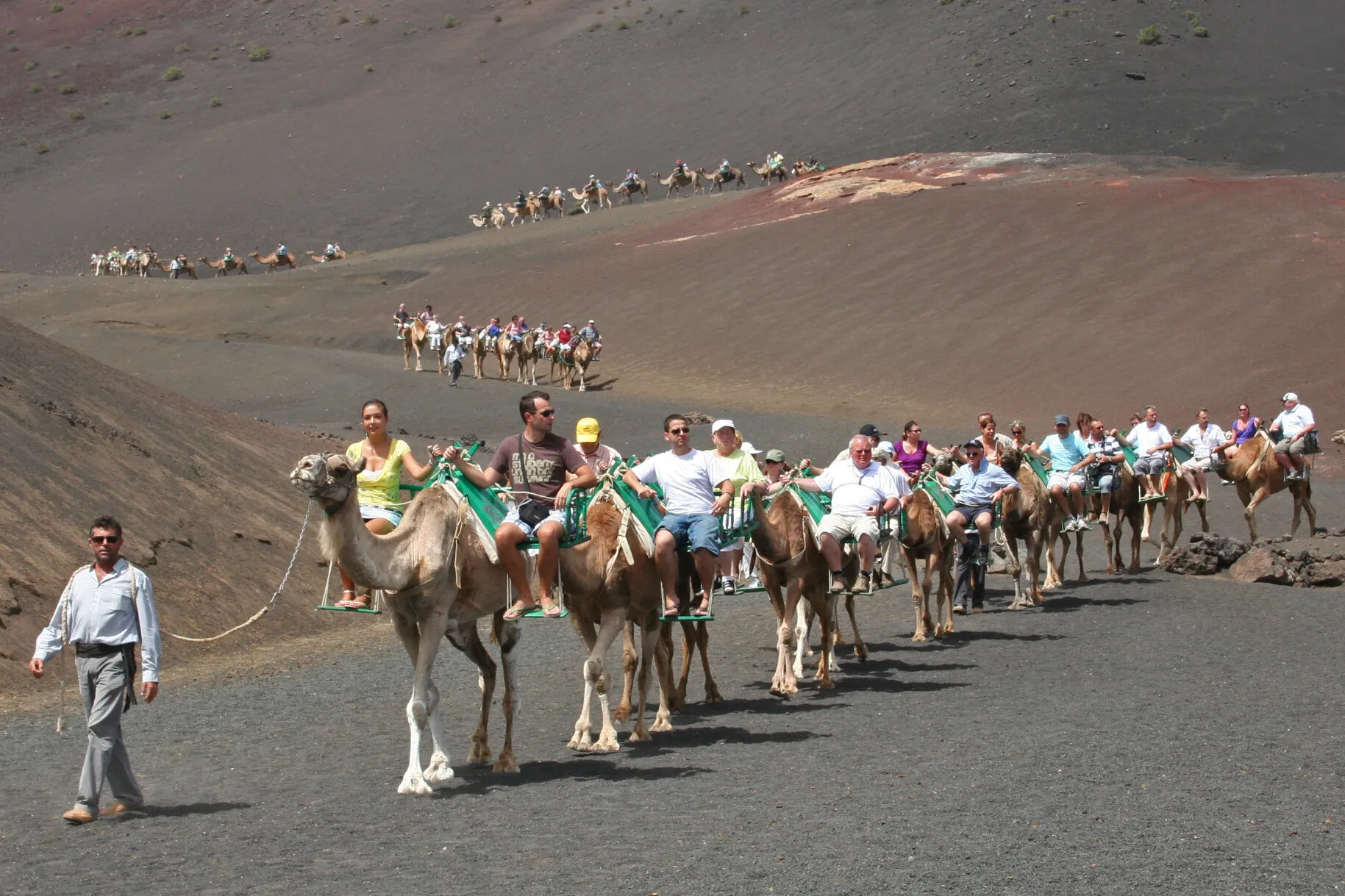 Camel train