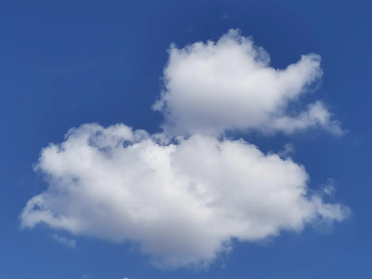 Cloud Duck