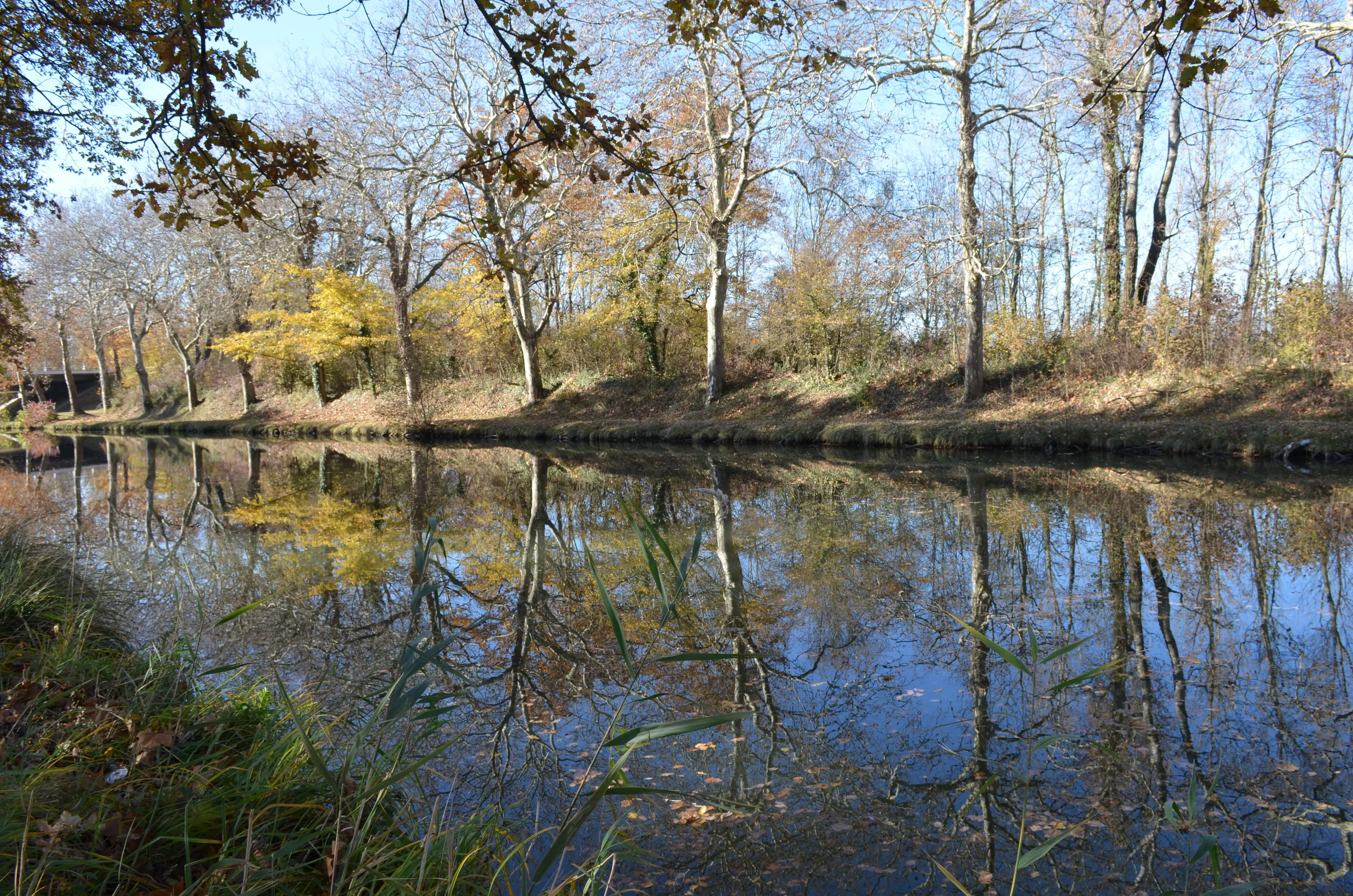 Le Canal