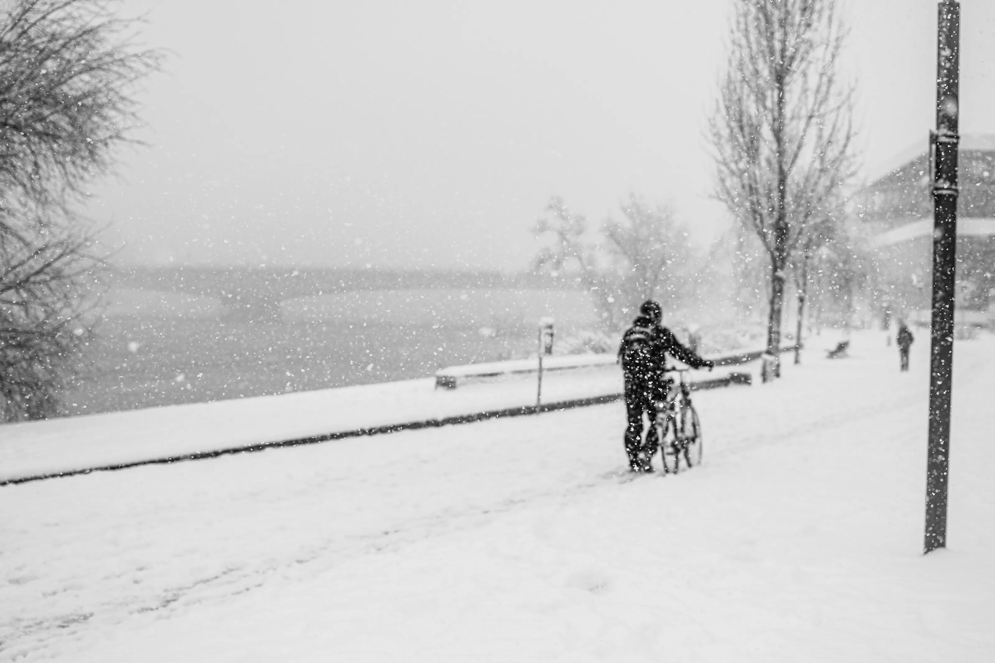 Snowprise