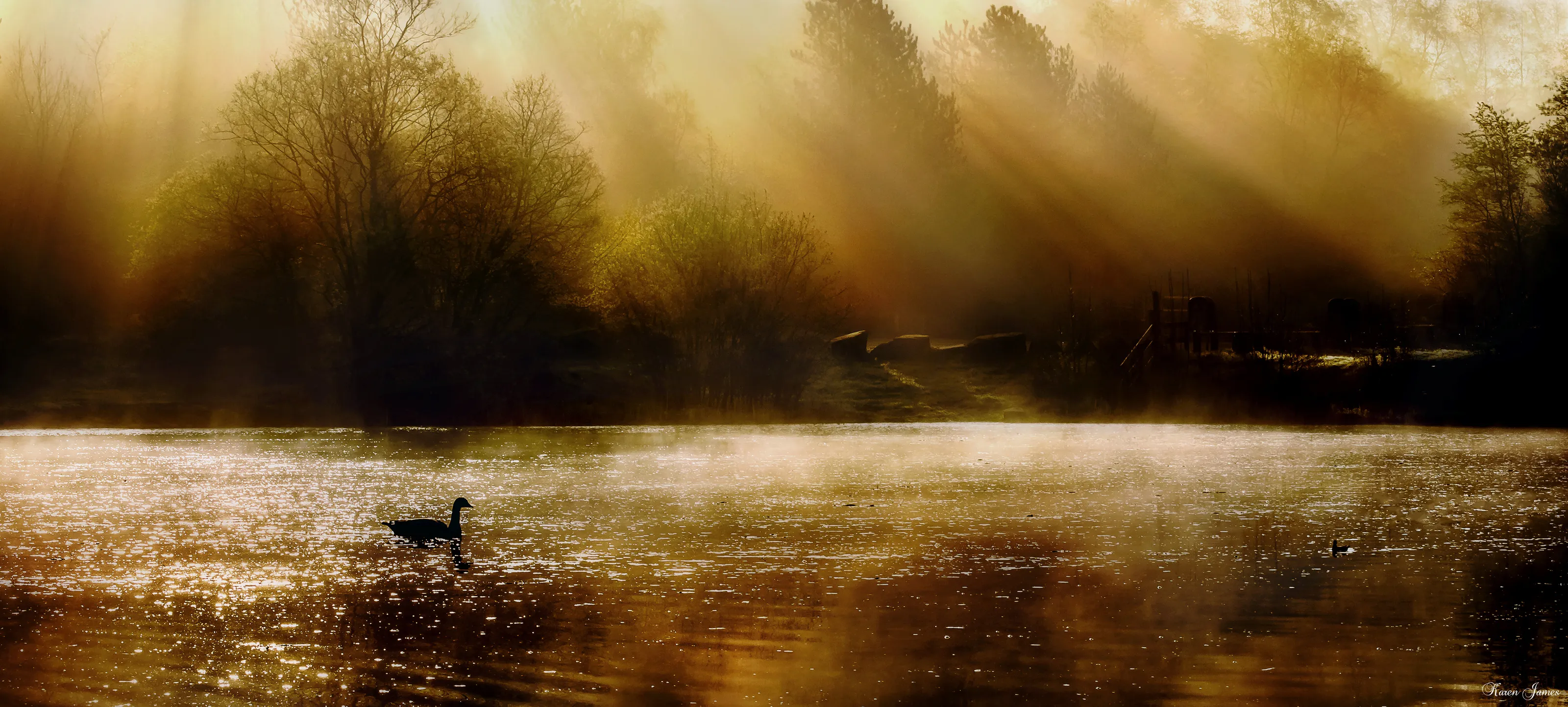 Sunbeams Through the Mist