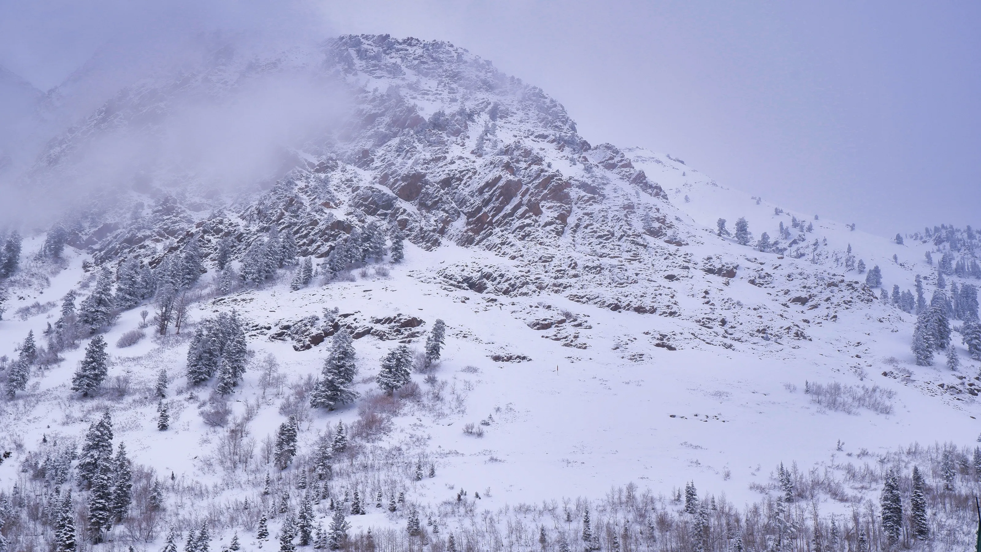 Snowbird Ski Resort
