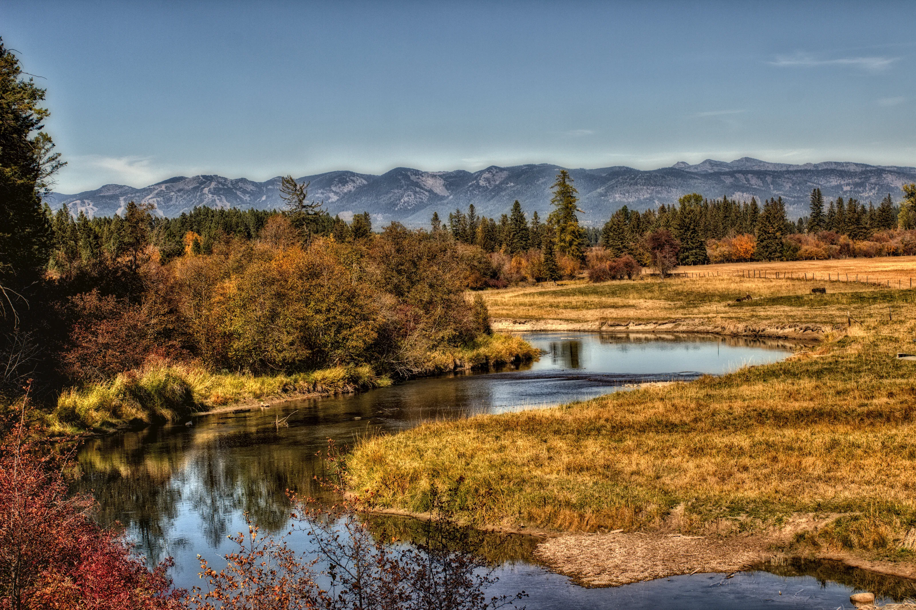 Meander