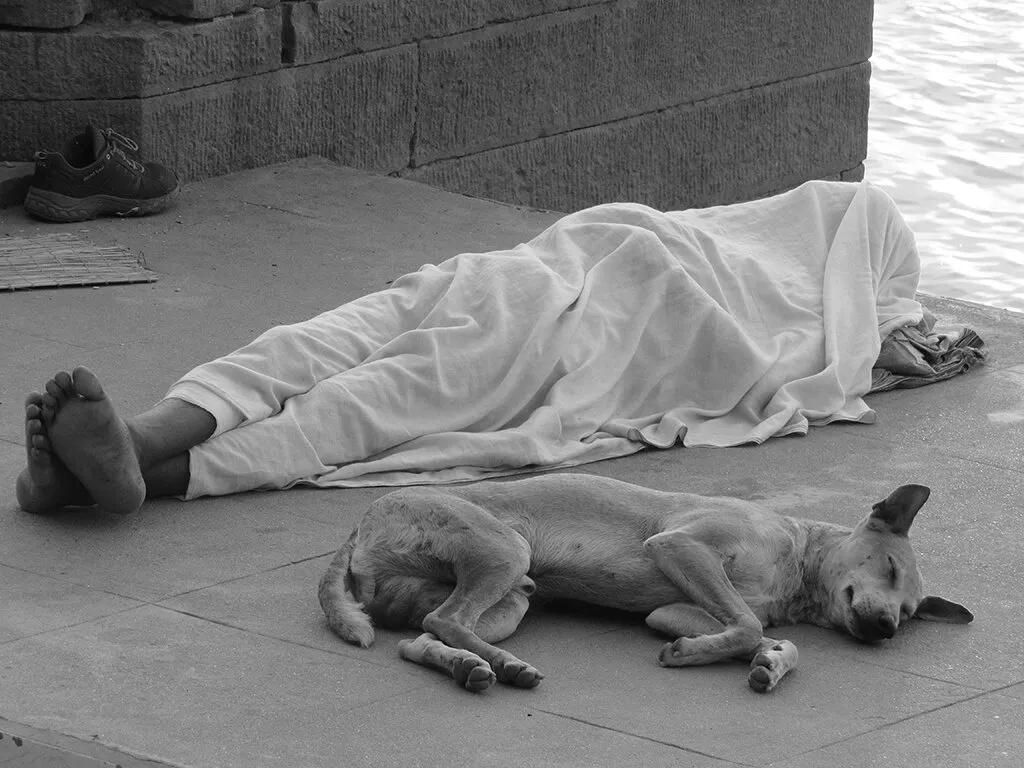 "Incredible India"