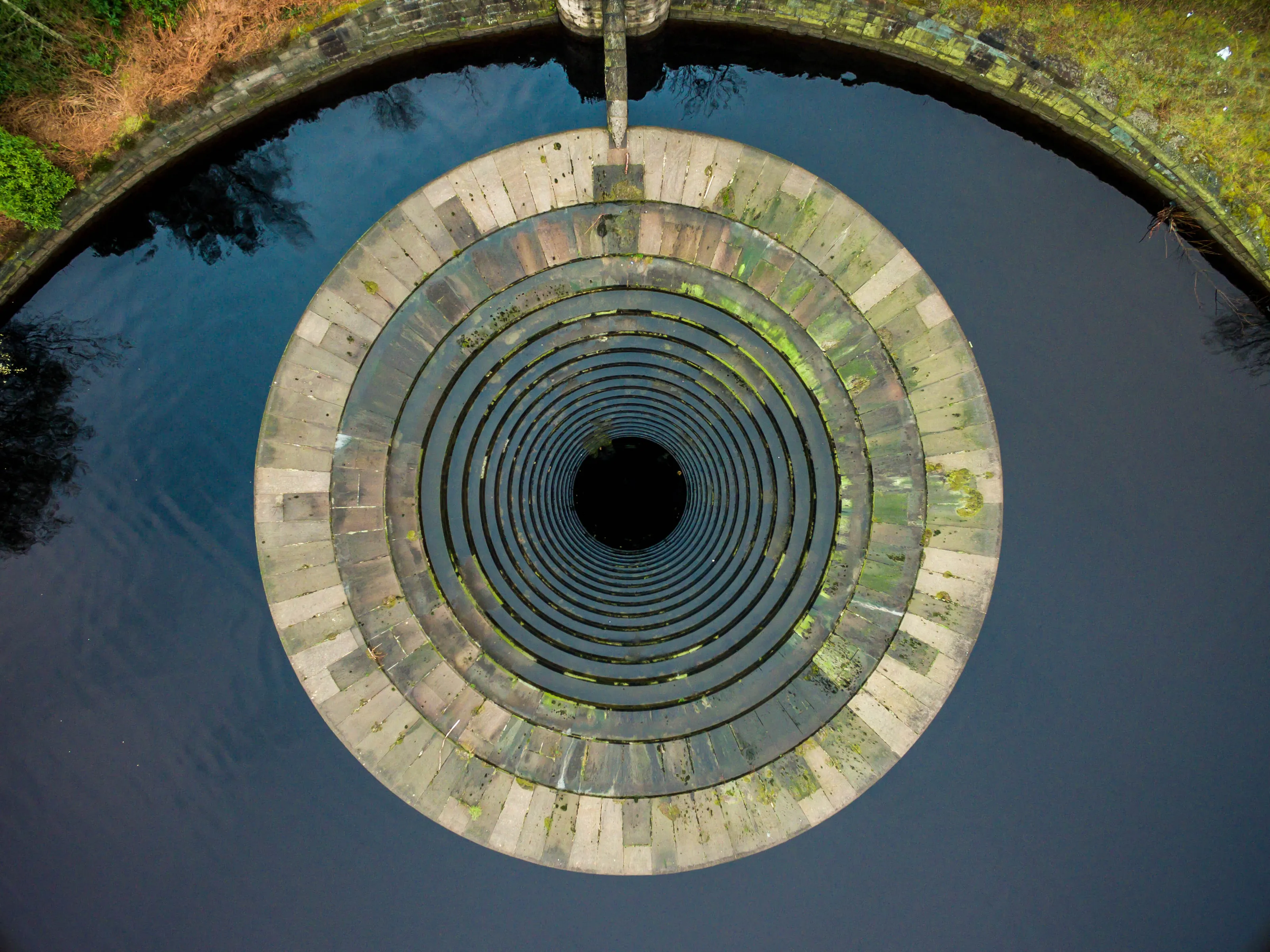 The Plughole