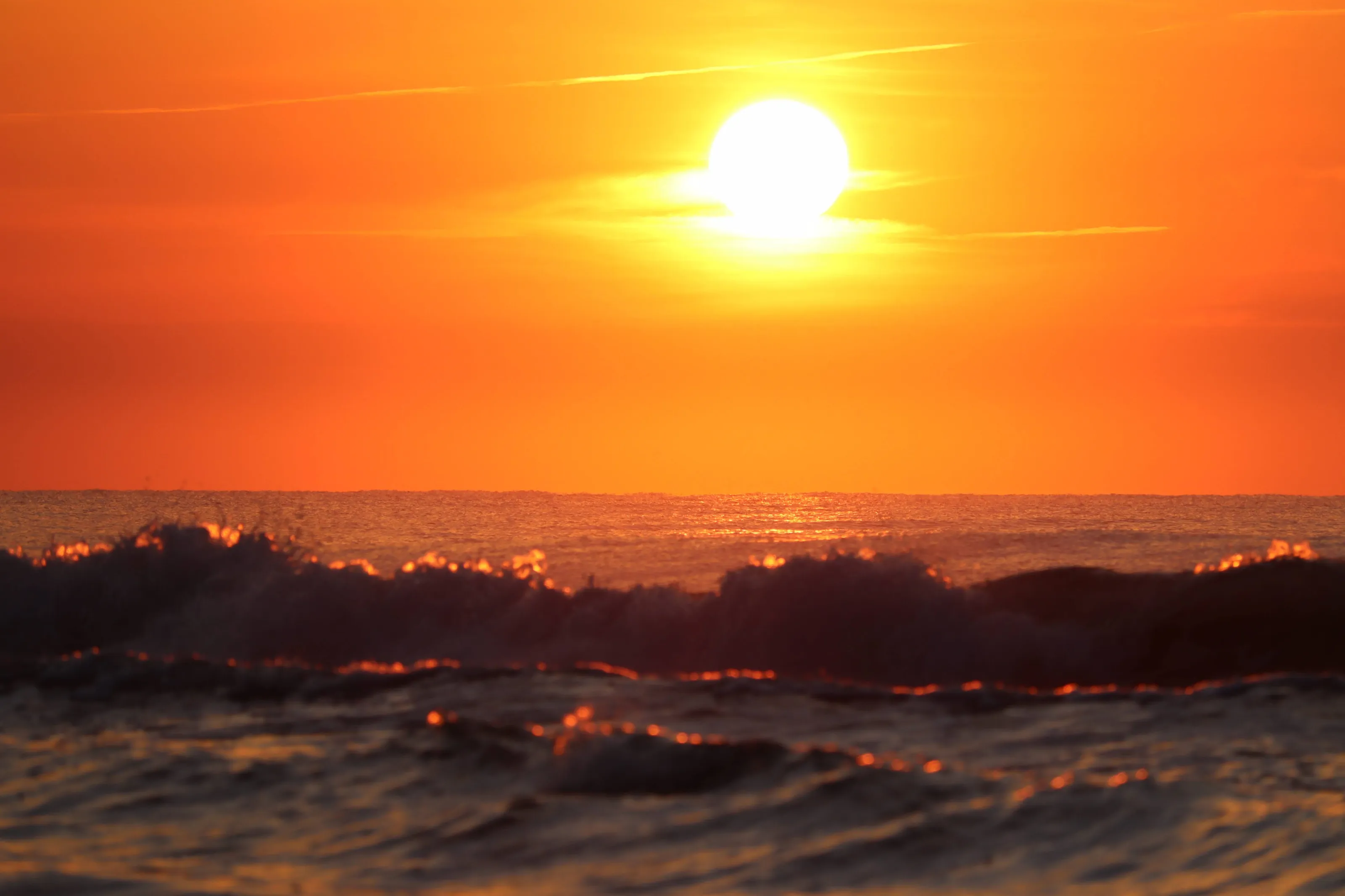 The Ocean's fantasy