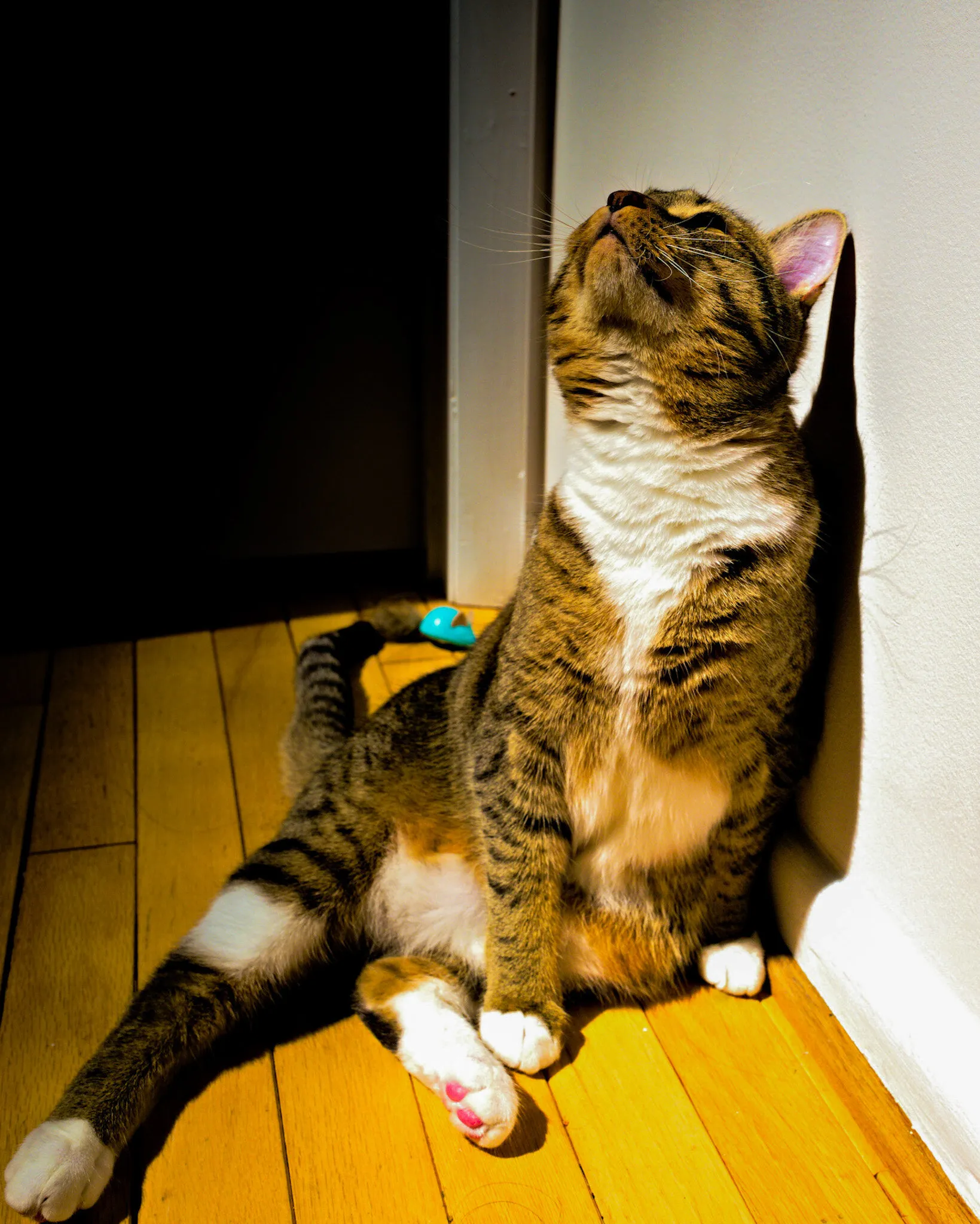 A Sunny Spot