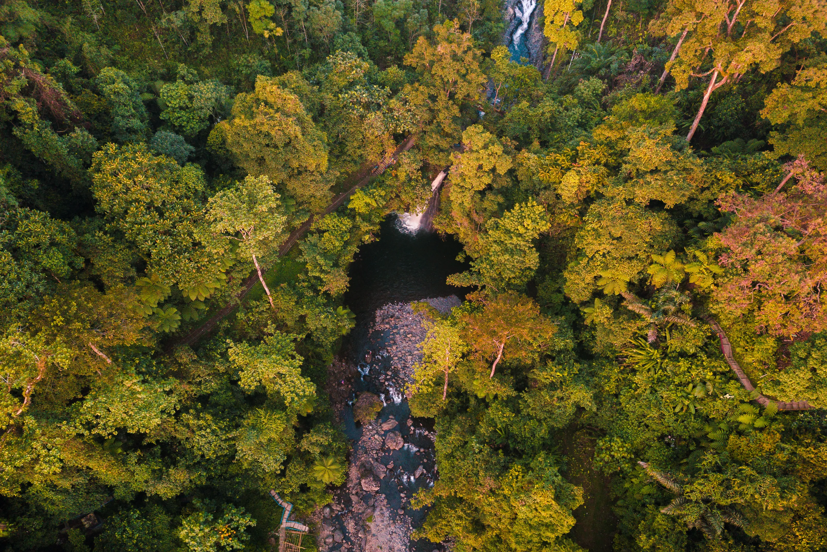 Aerial view of waterfall in Indonesian tropical forest