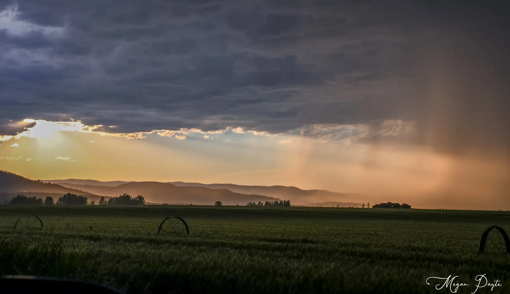 Rain on the Farm