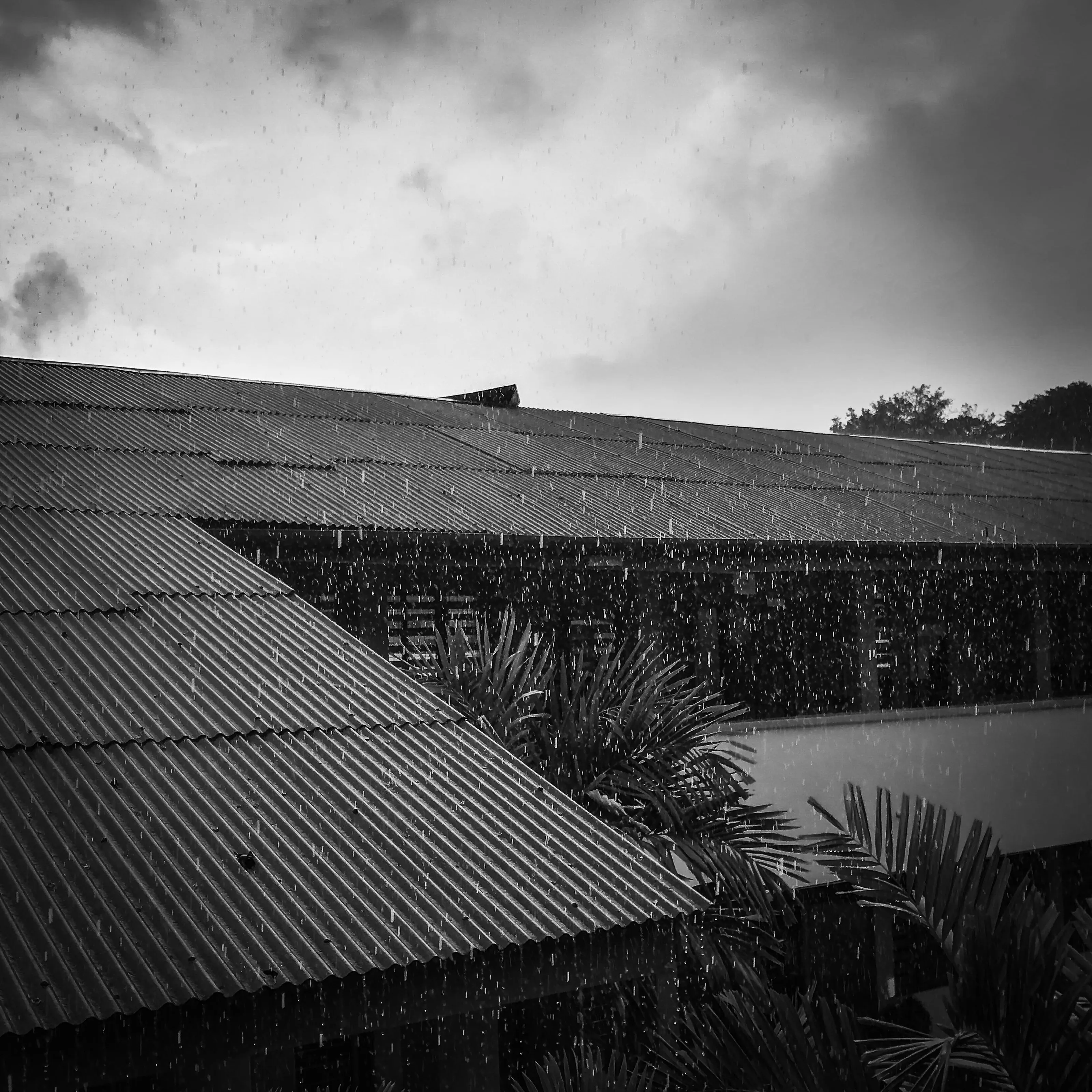 Rainy picture of the day