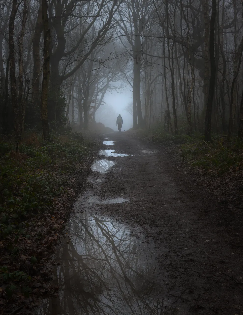 Entry 13586112