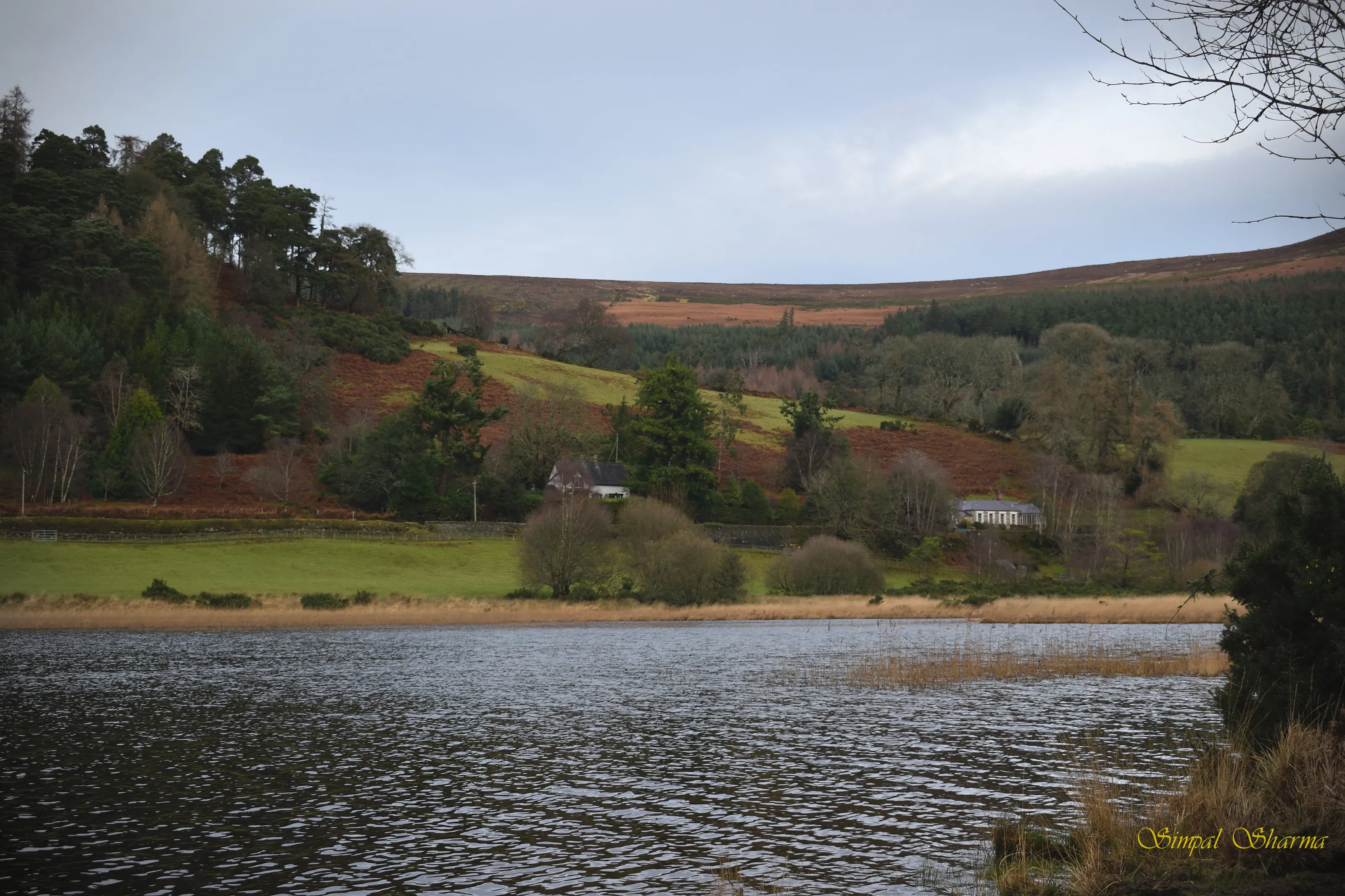 Autumn capture in Glendalough