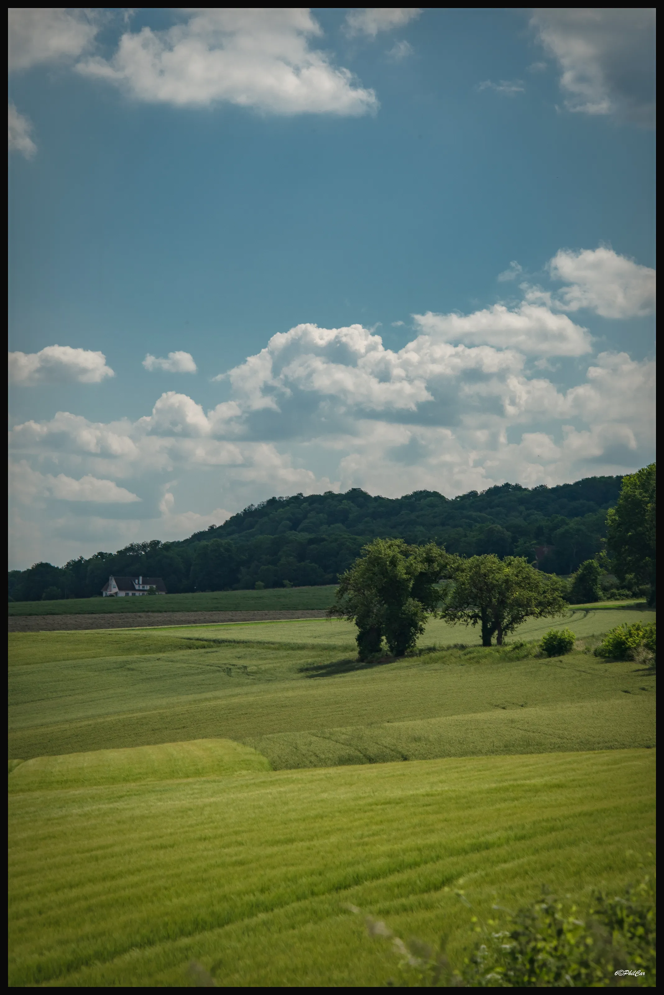 A walk behind the house