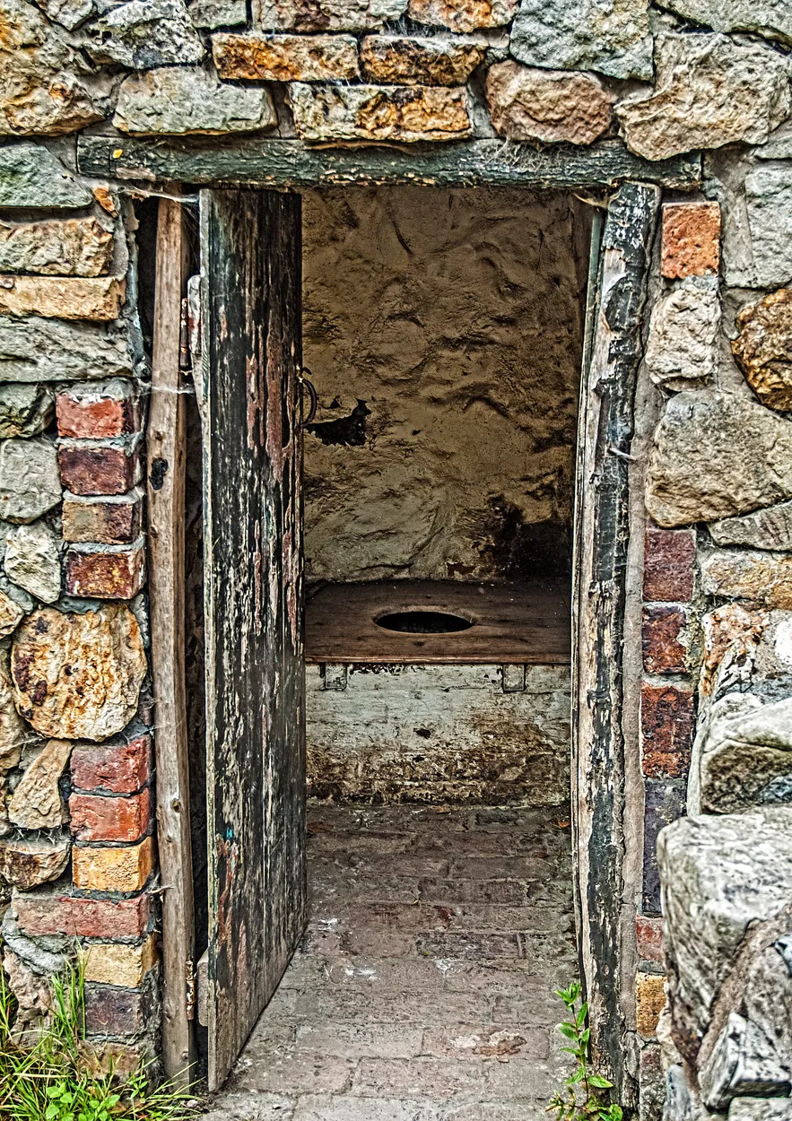 Entry 9994126