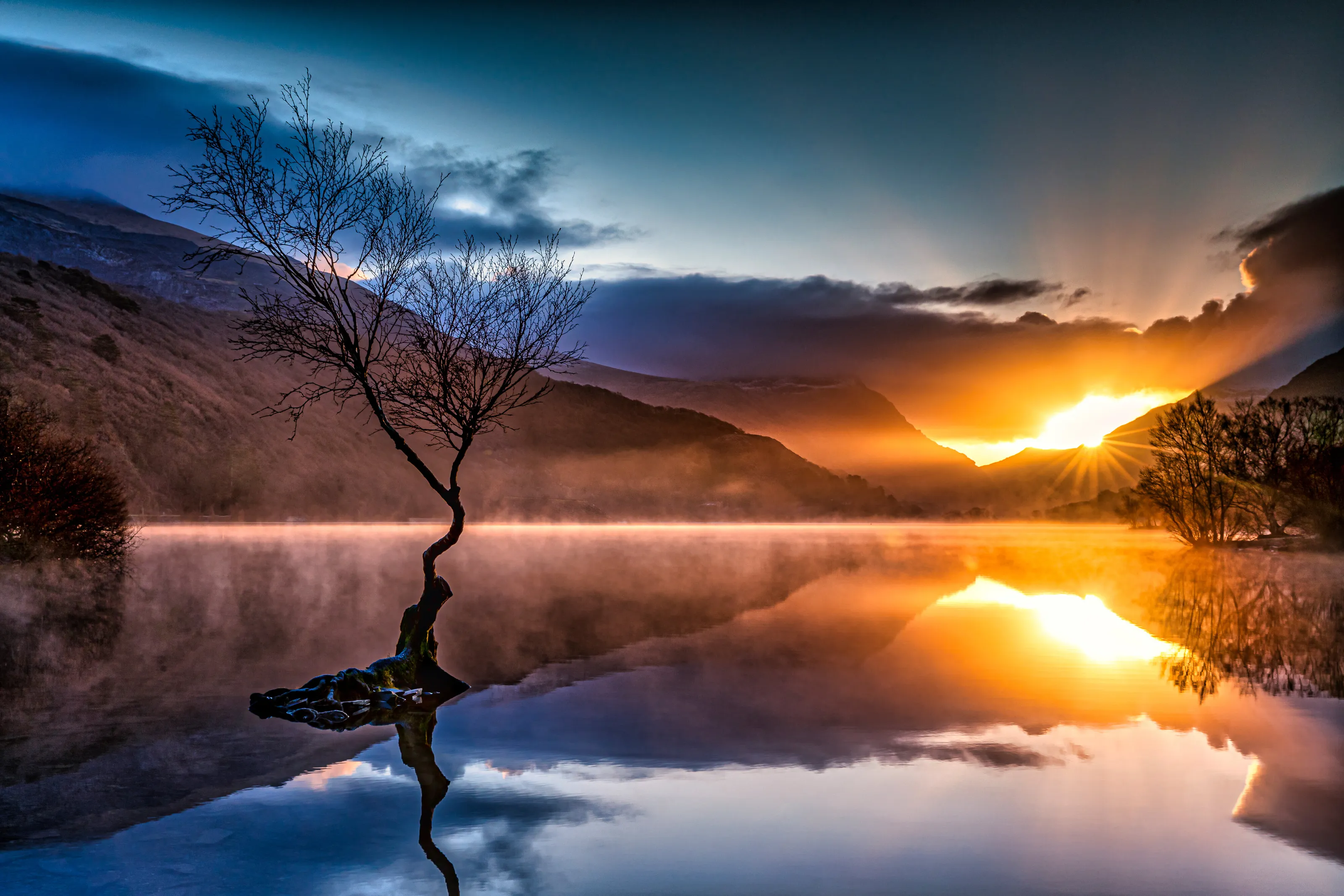 Lone Tree at Lyn Pardarm
