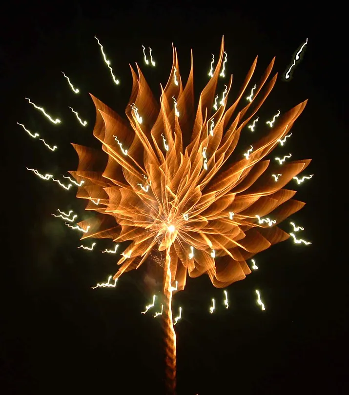 Bonfire night