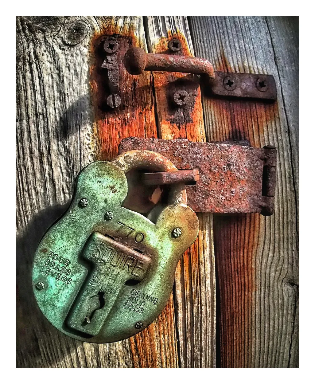 Entry 10009462