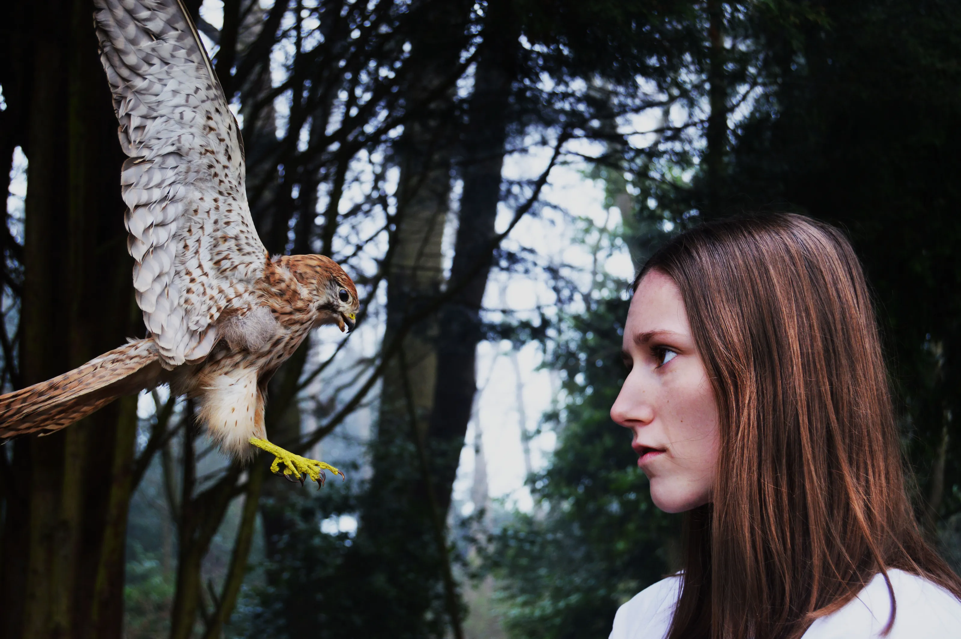 Face to Face