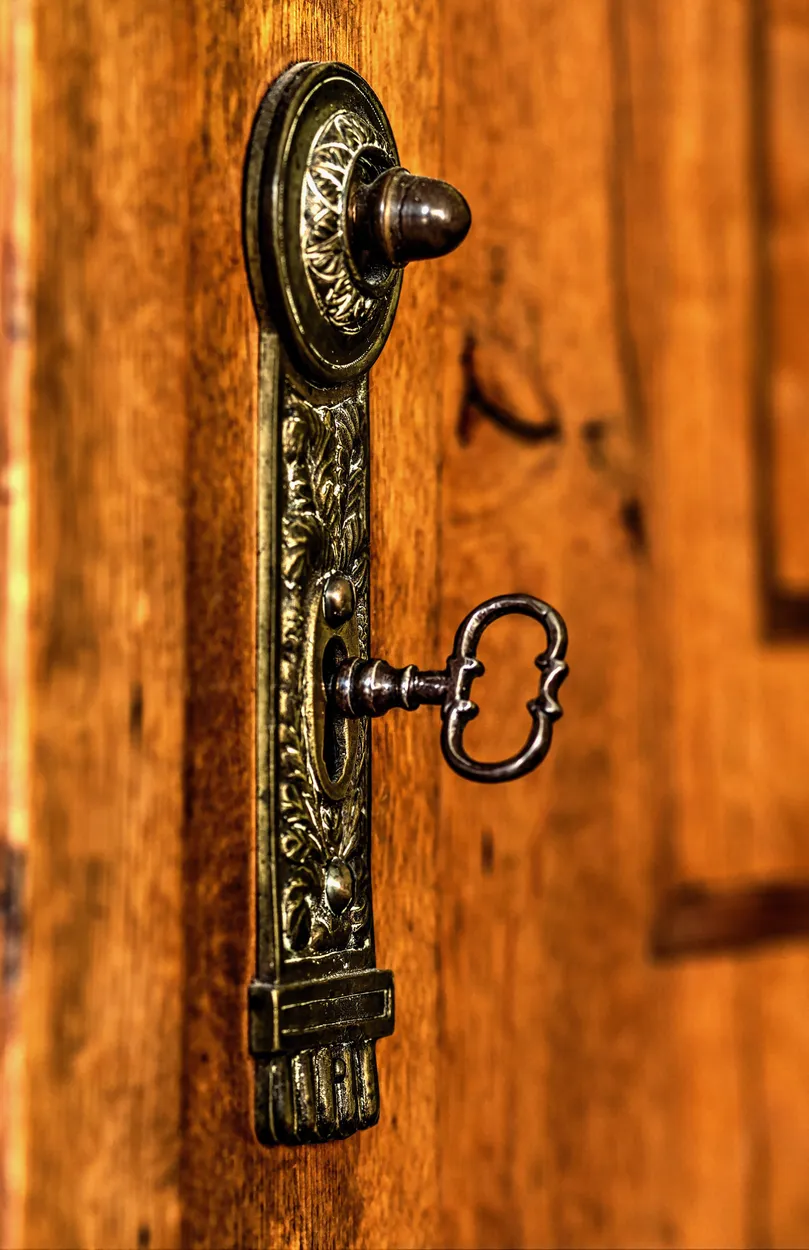 Entry 21227808