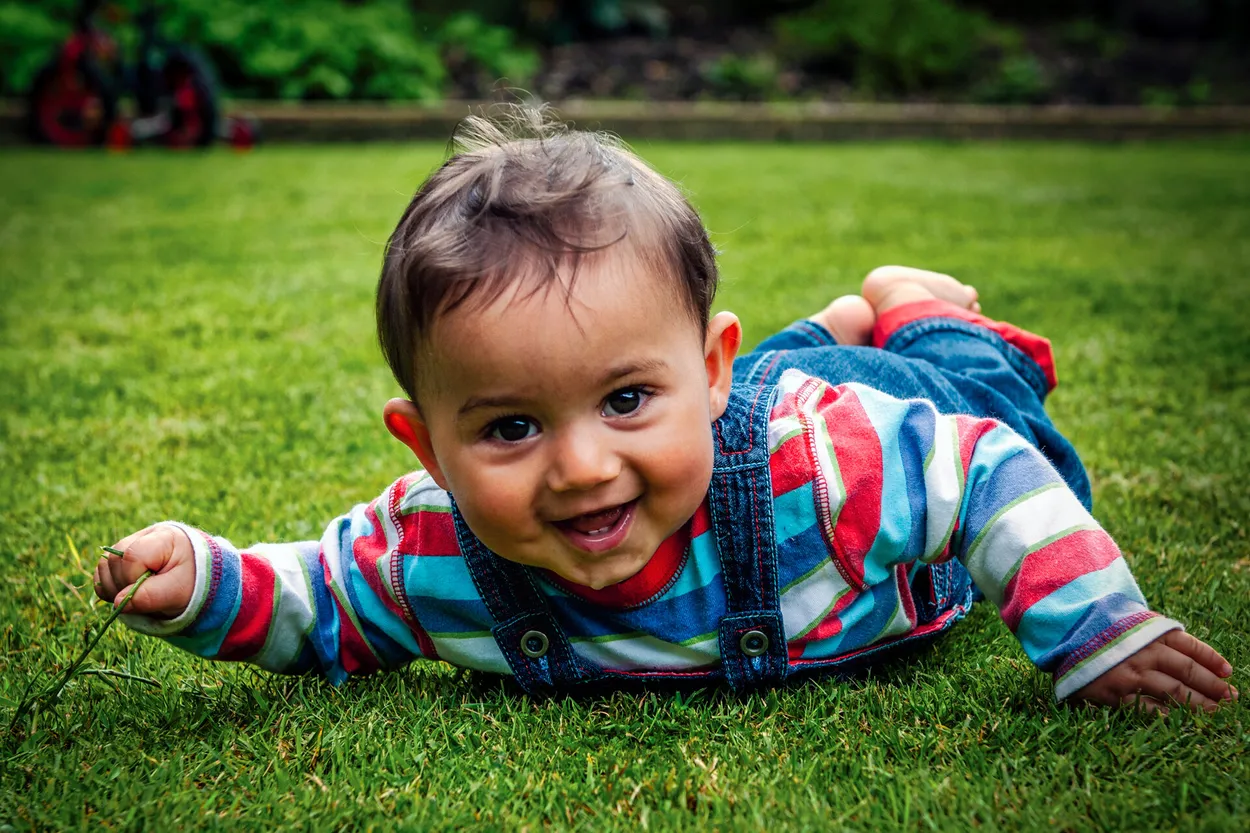 Entry 10233019