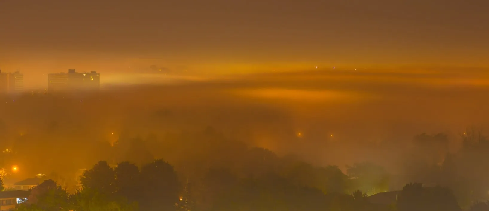 foggy night