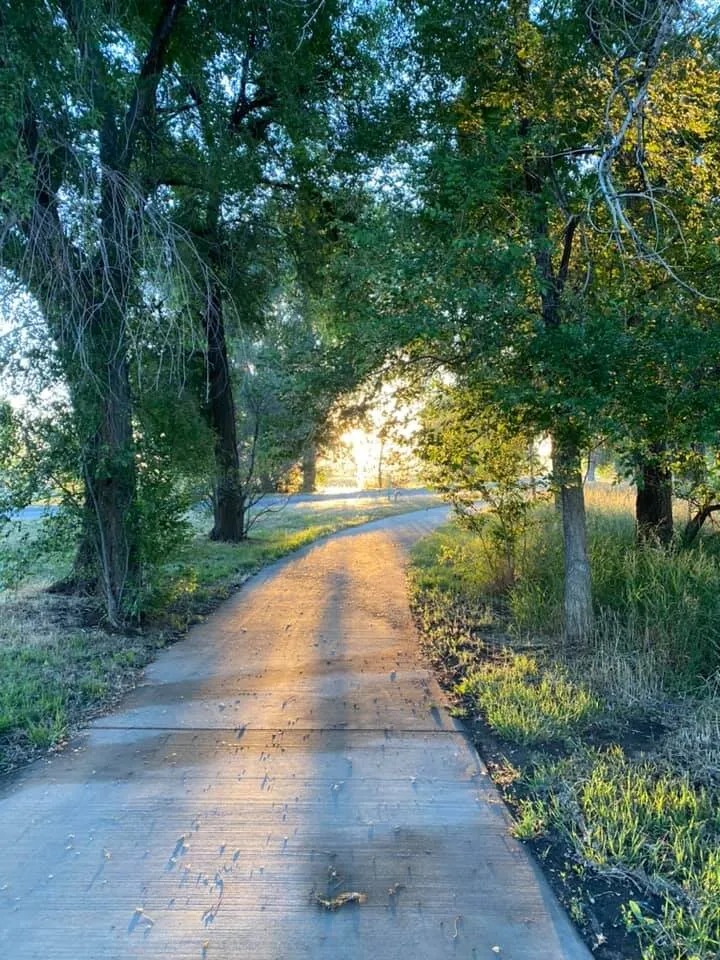 "Morning has Broken"