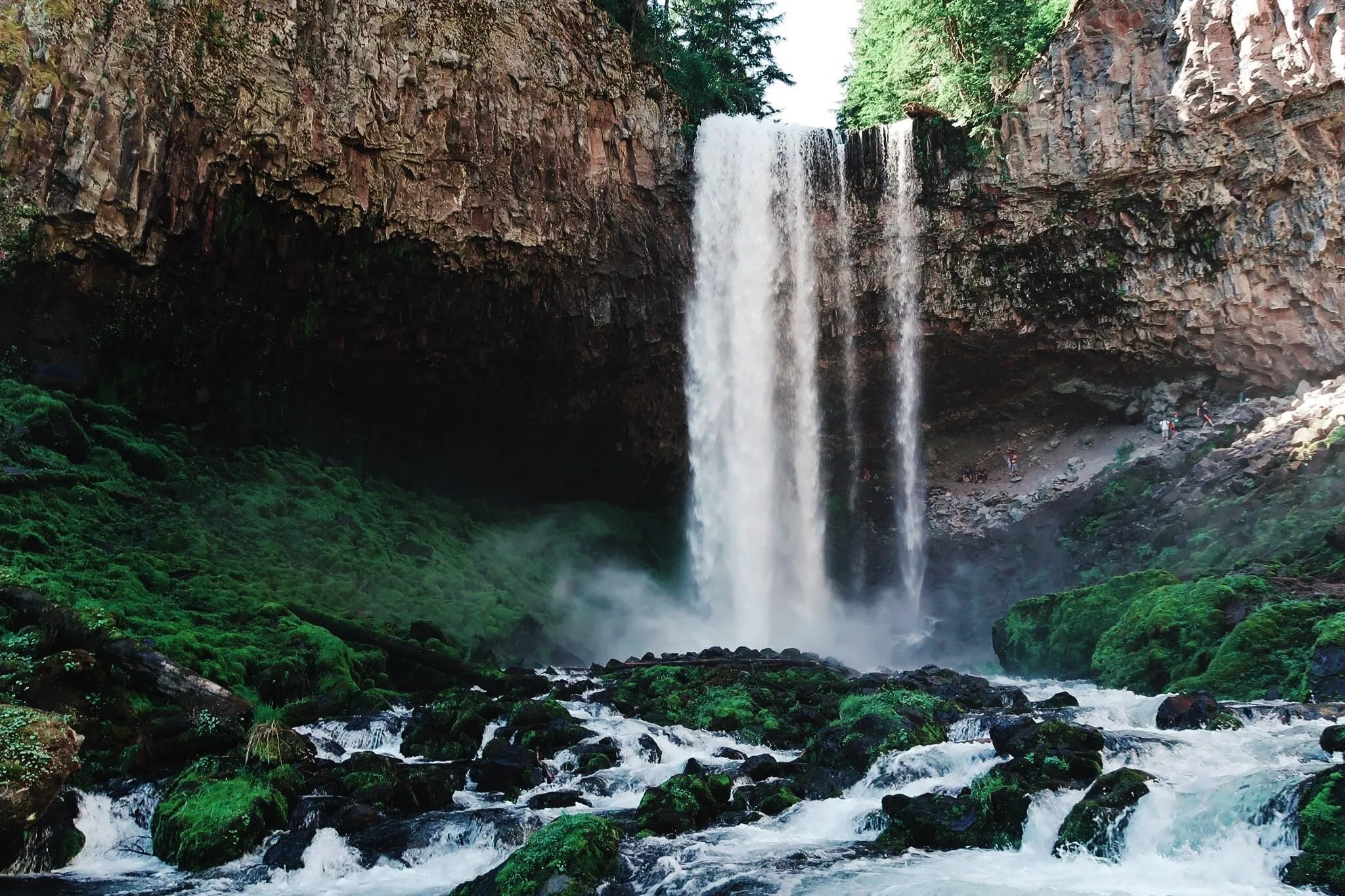 Tamawanas