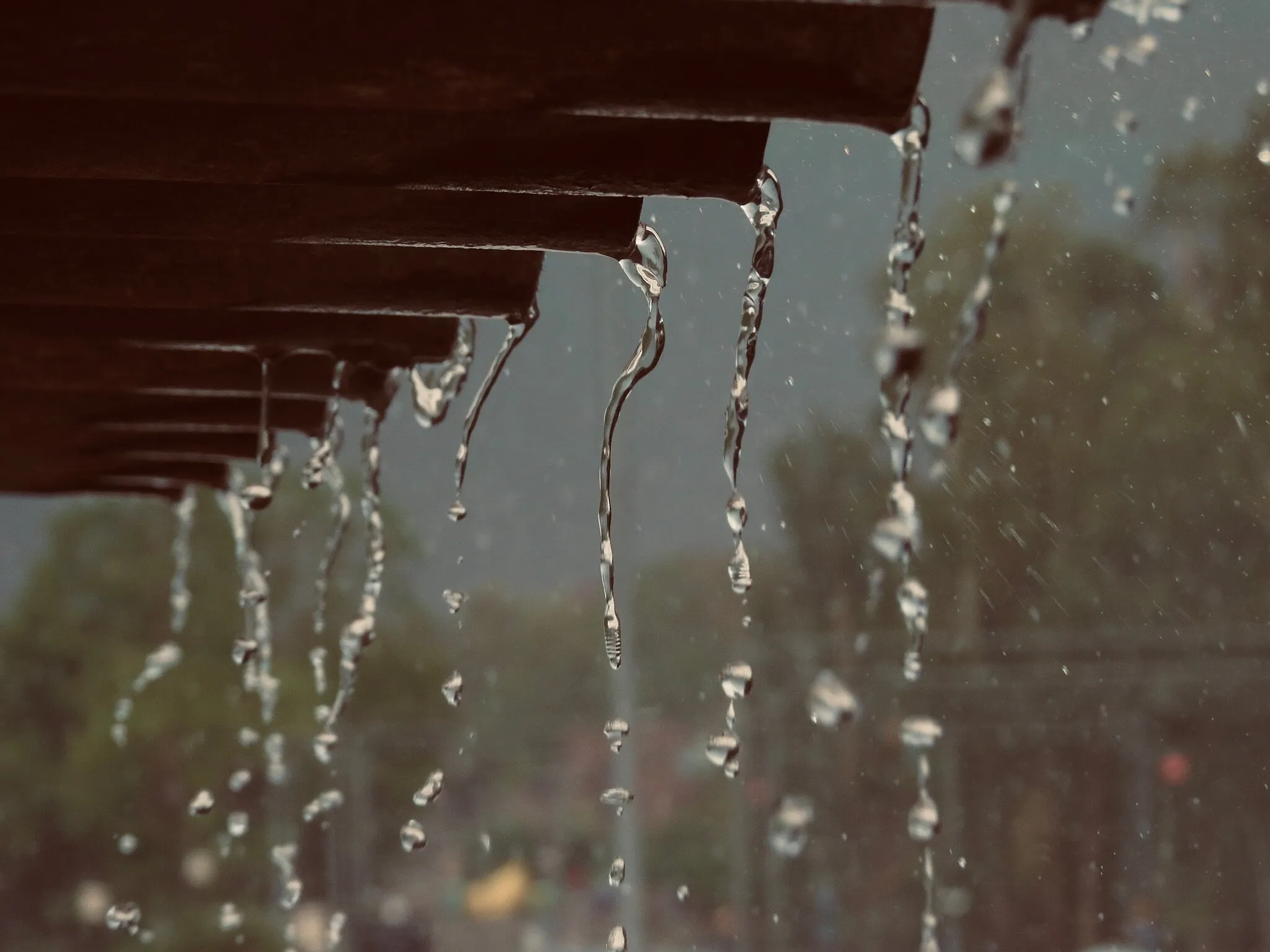 Nature is already amazing, water after the rains makes it even more better
