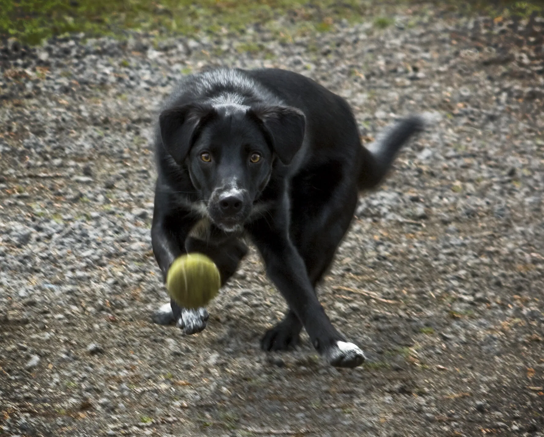 Concentration