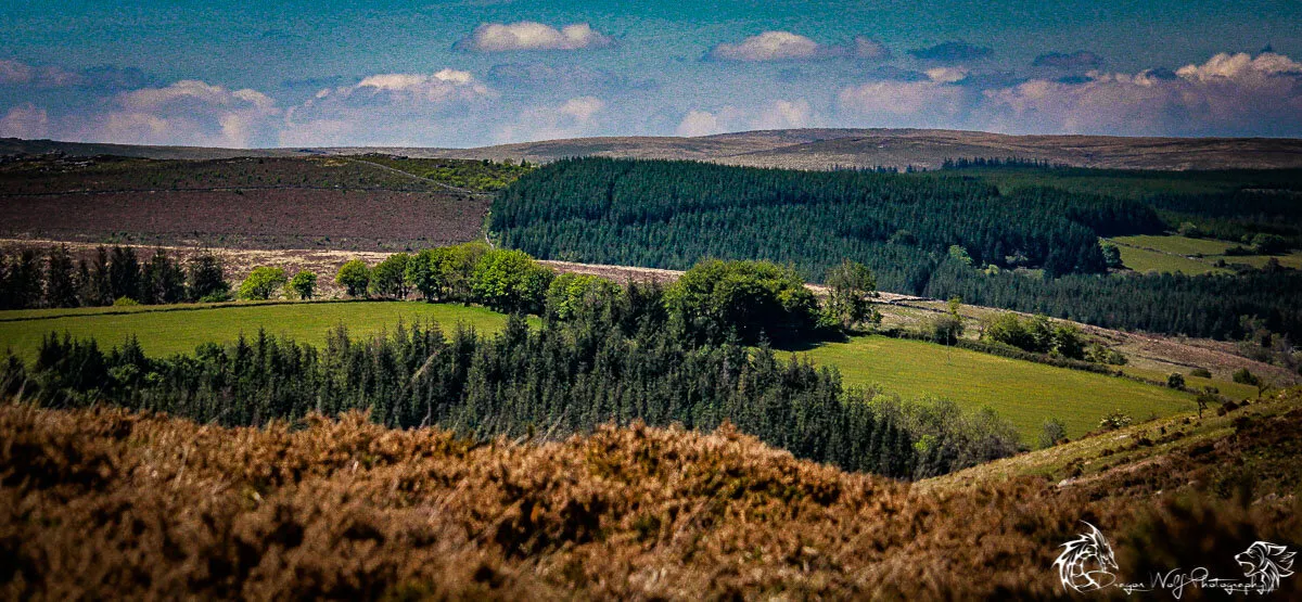 Dartmoor Landscape