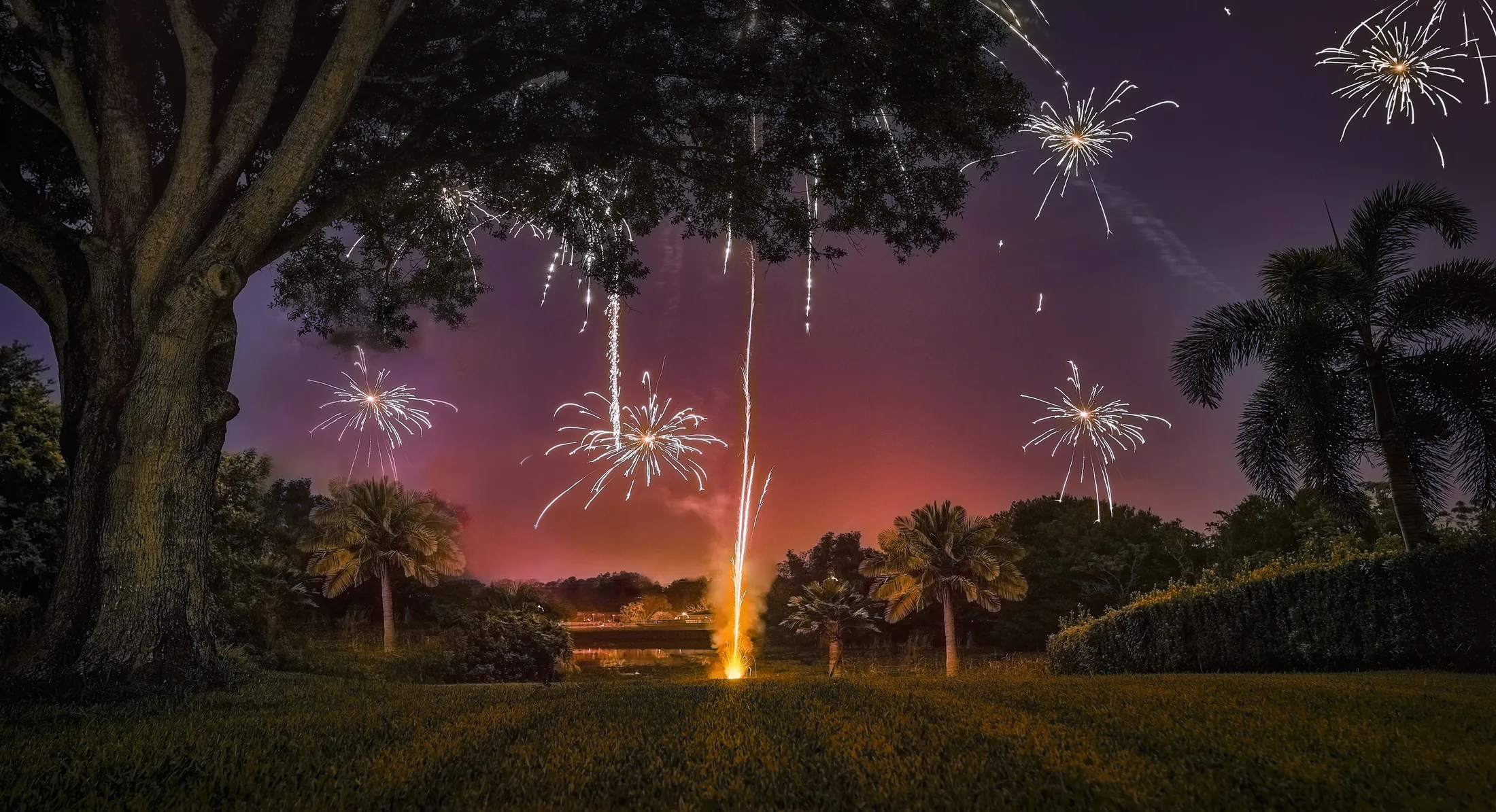 Welcome to Our Magical World