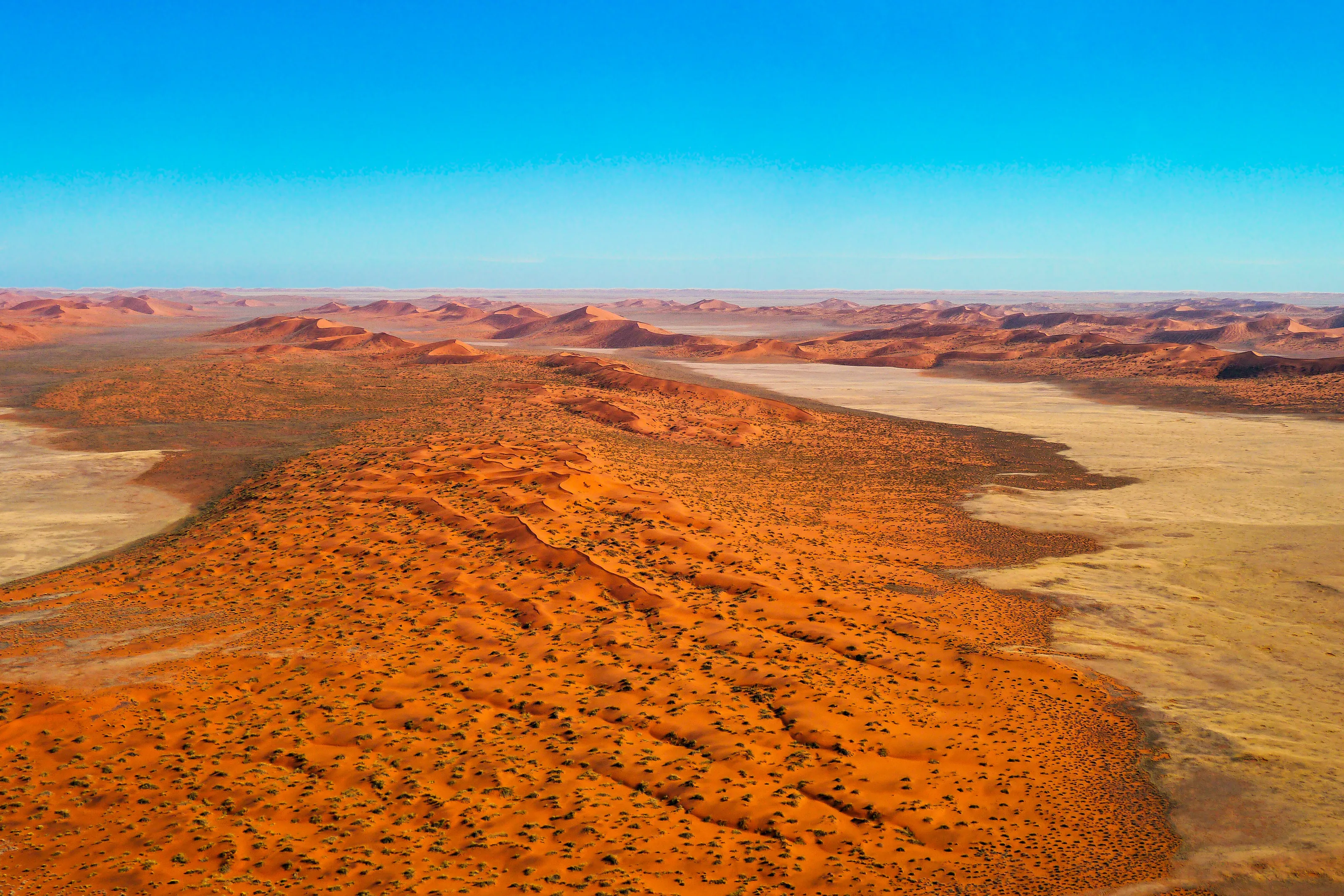The Namib Desert