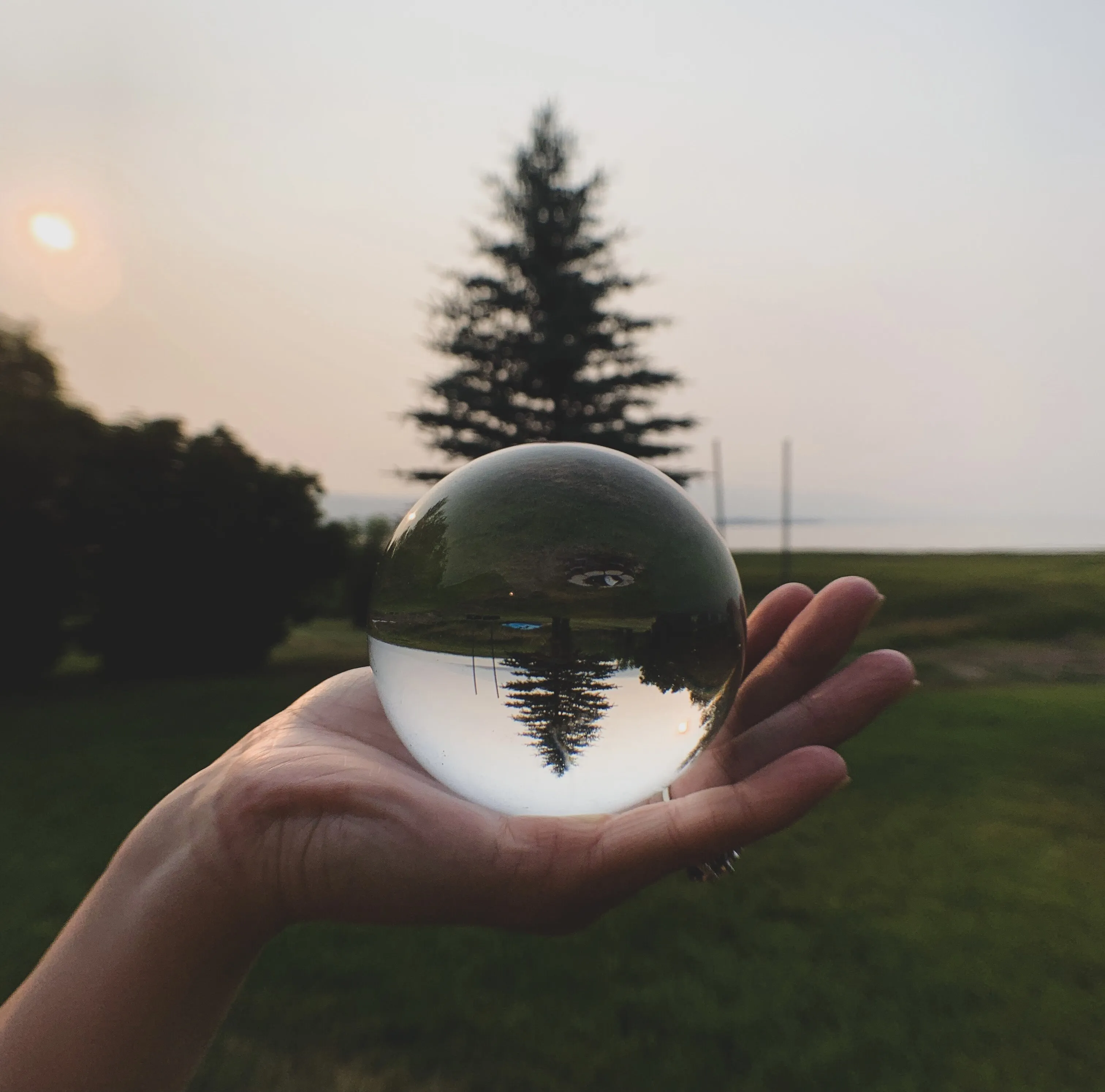 Through the Glass