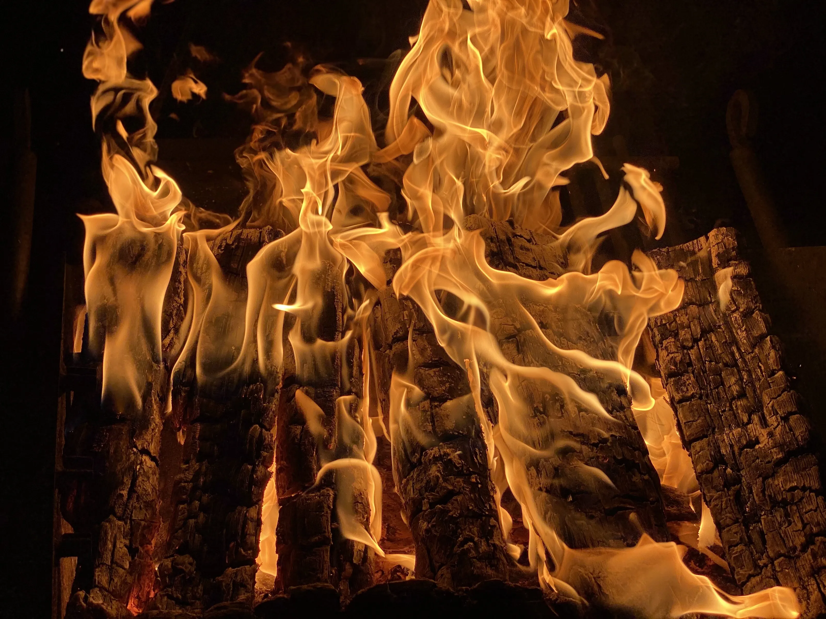 Banner image