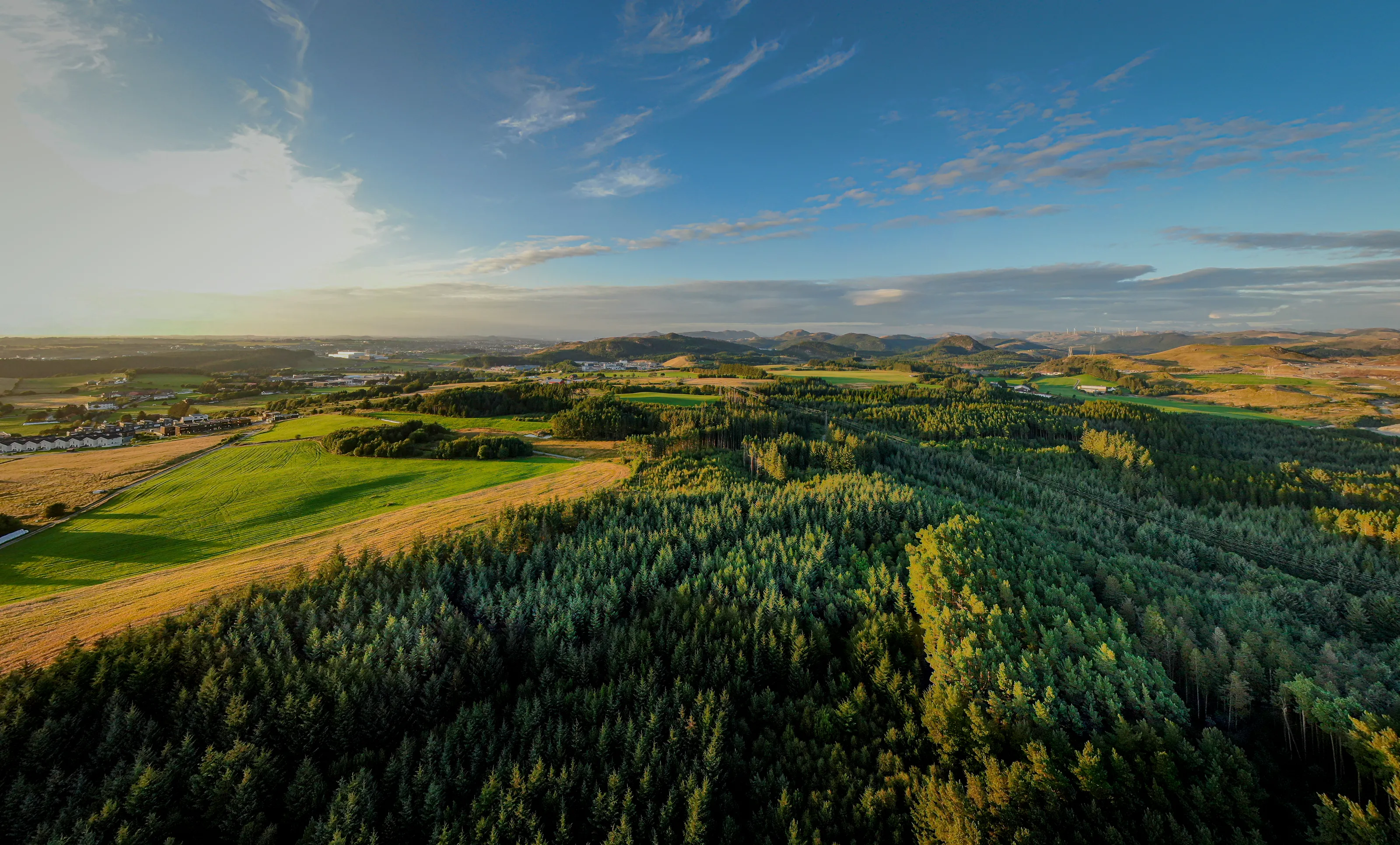 Kalbergskogen