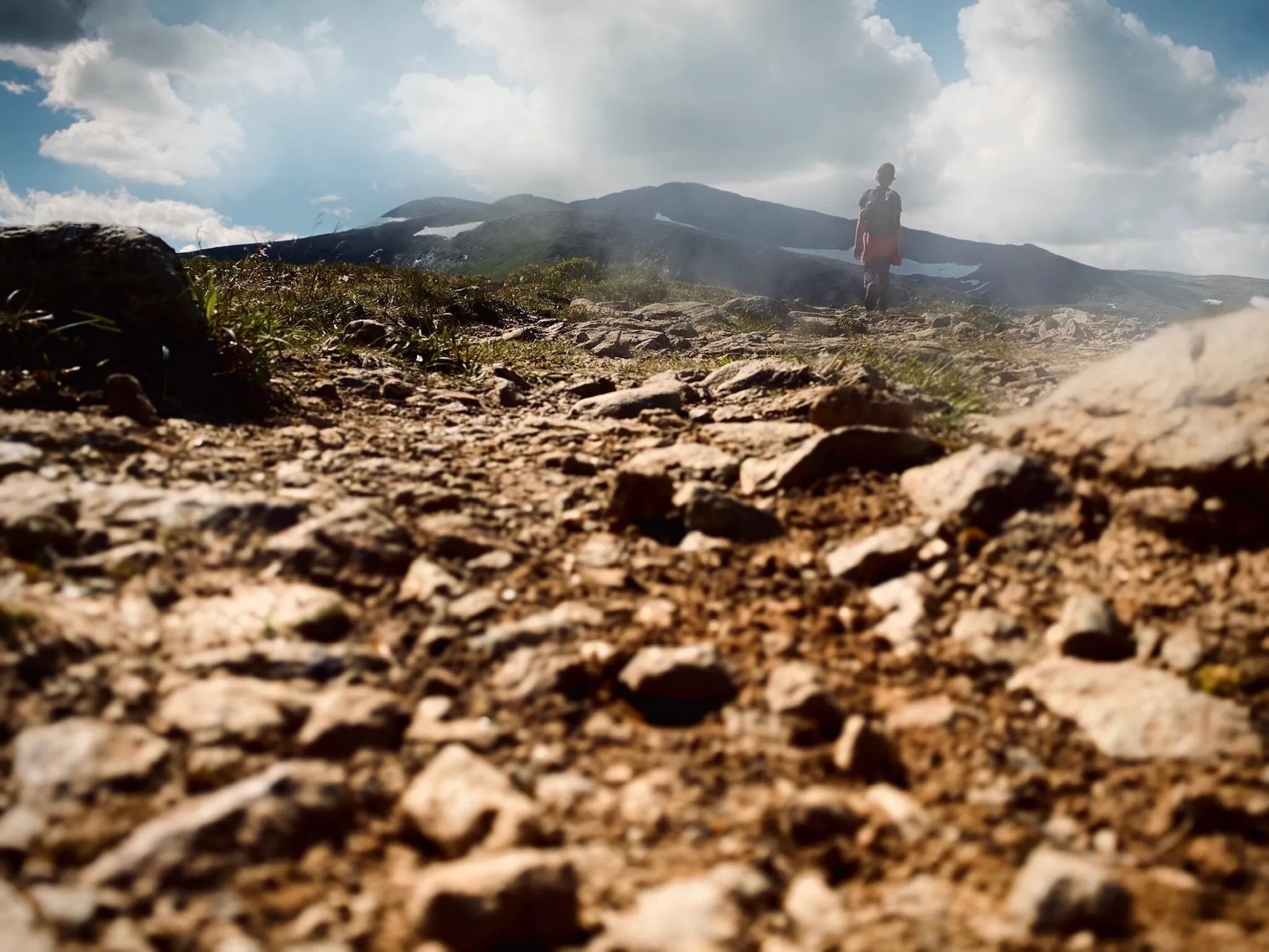 Banner image