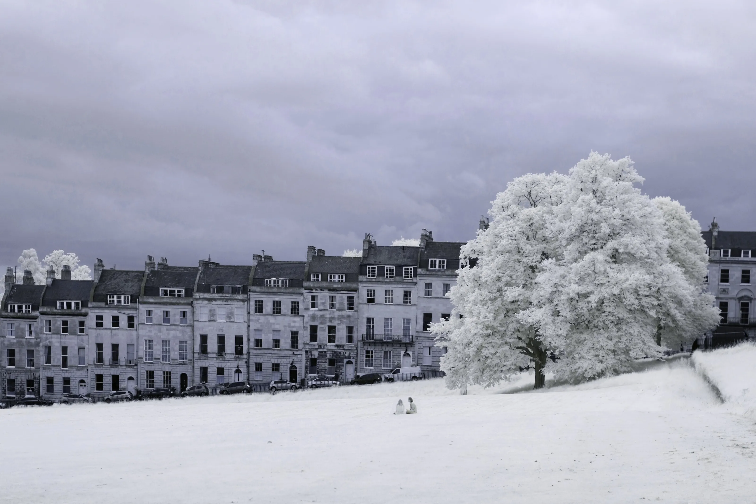 Town Houses in the Park