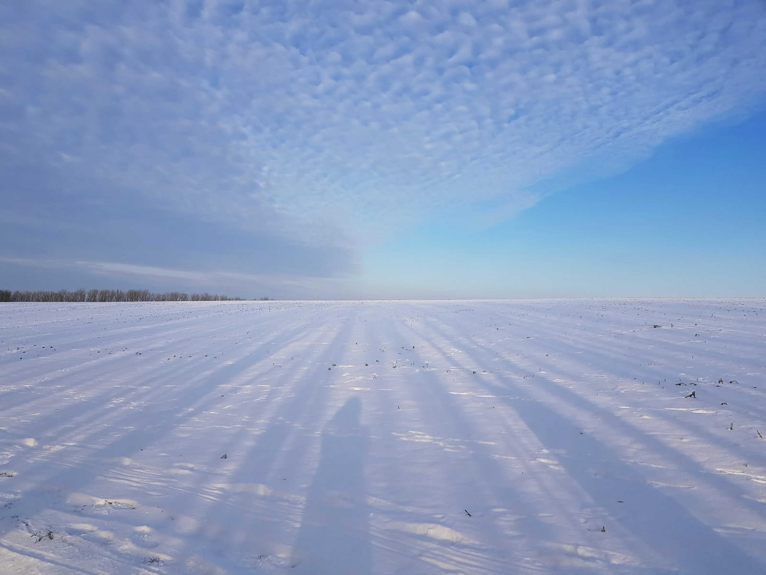 Blue Yonder