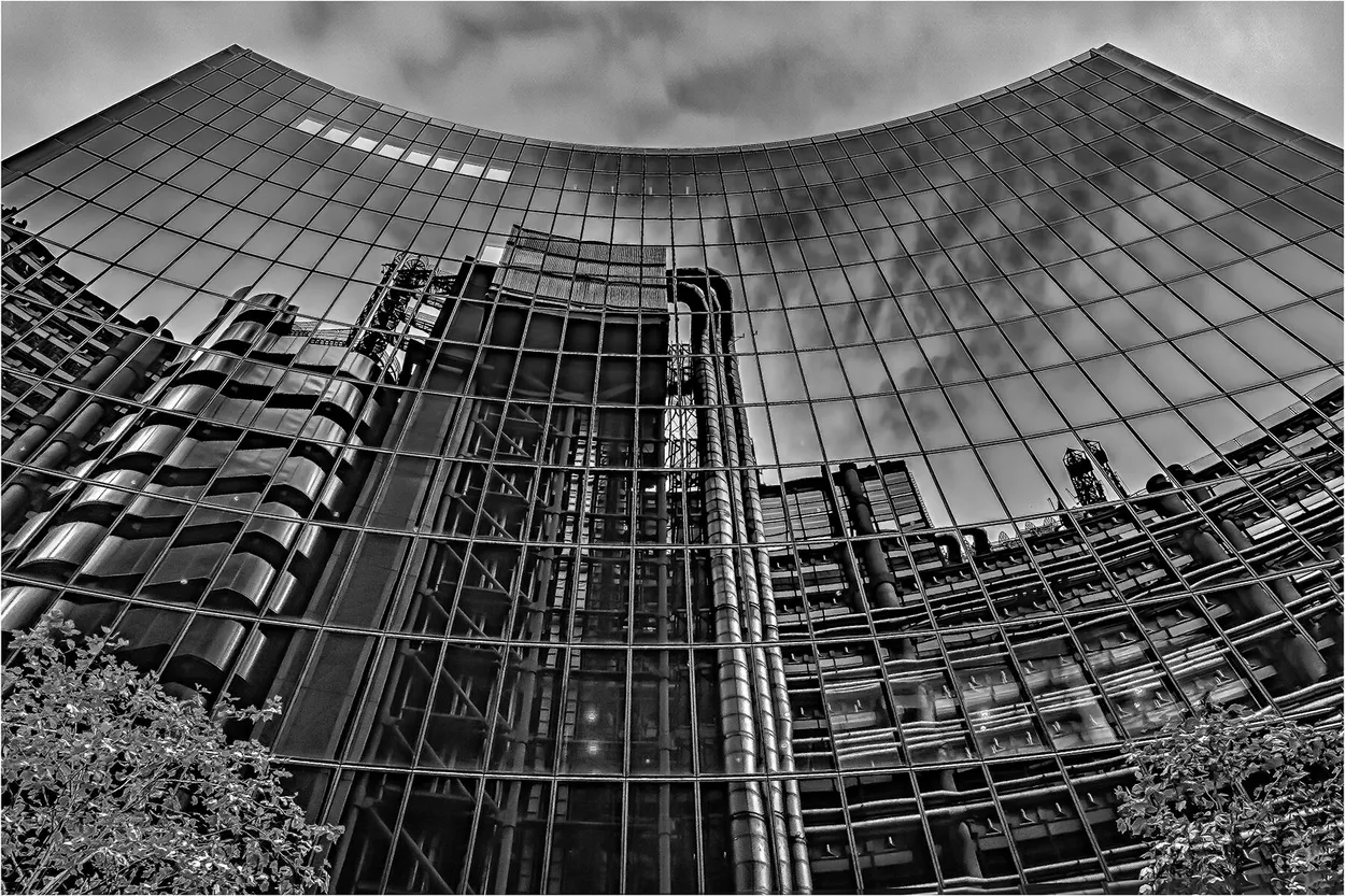 Entry 10073933