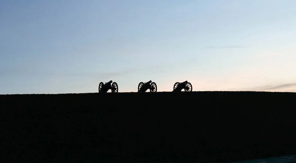 Banner image